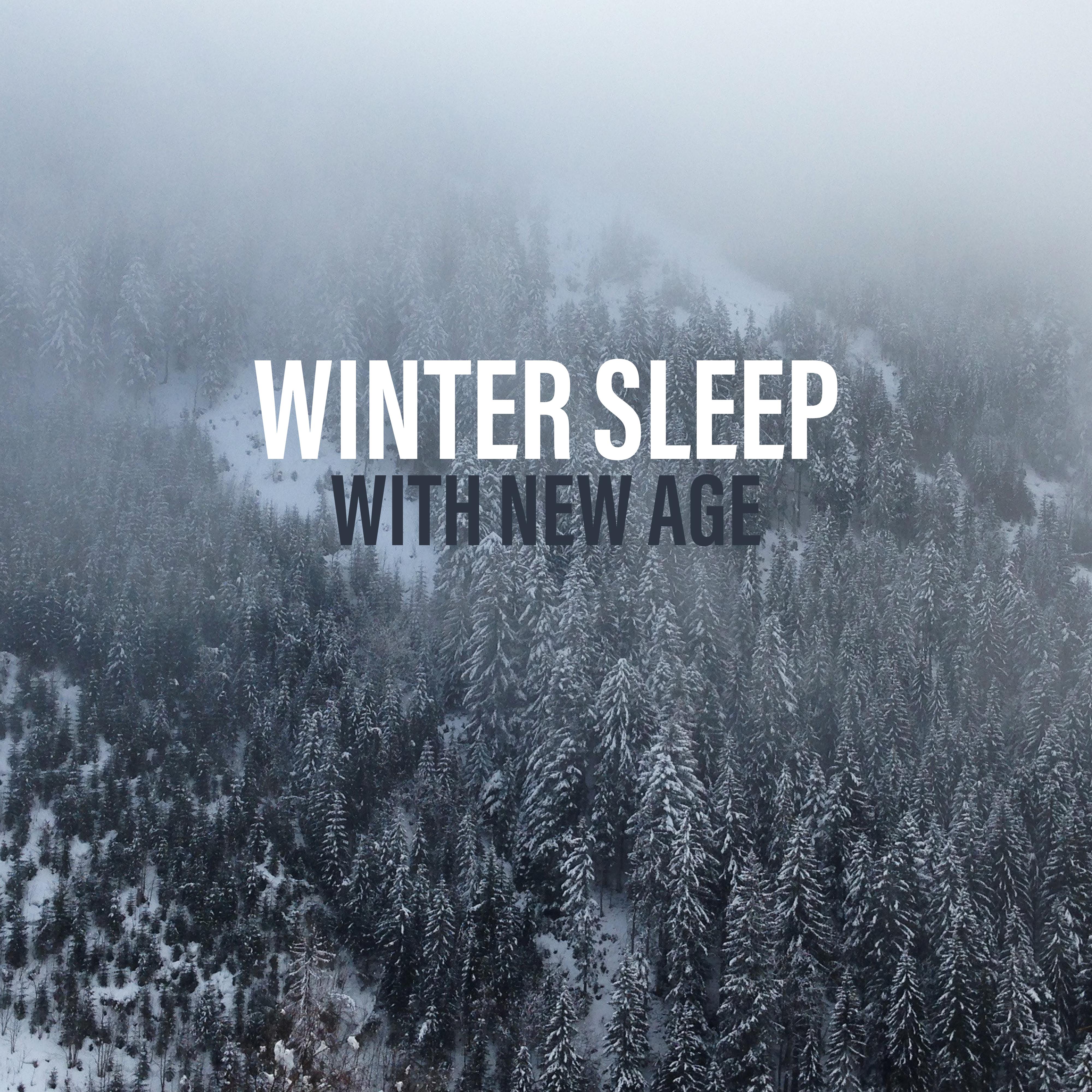 Winter Sleep with New Age