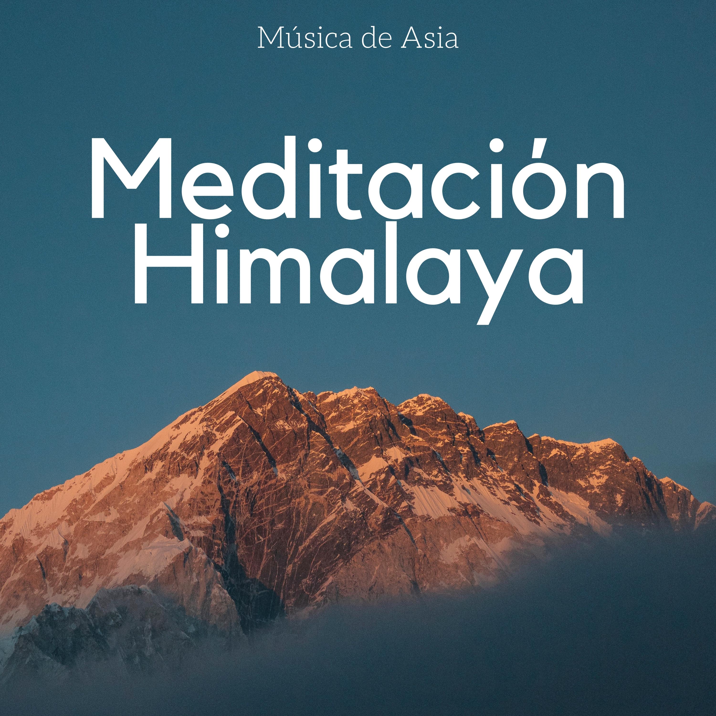 Meditación Himalaya
