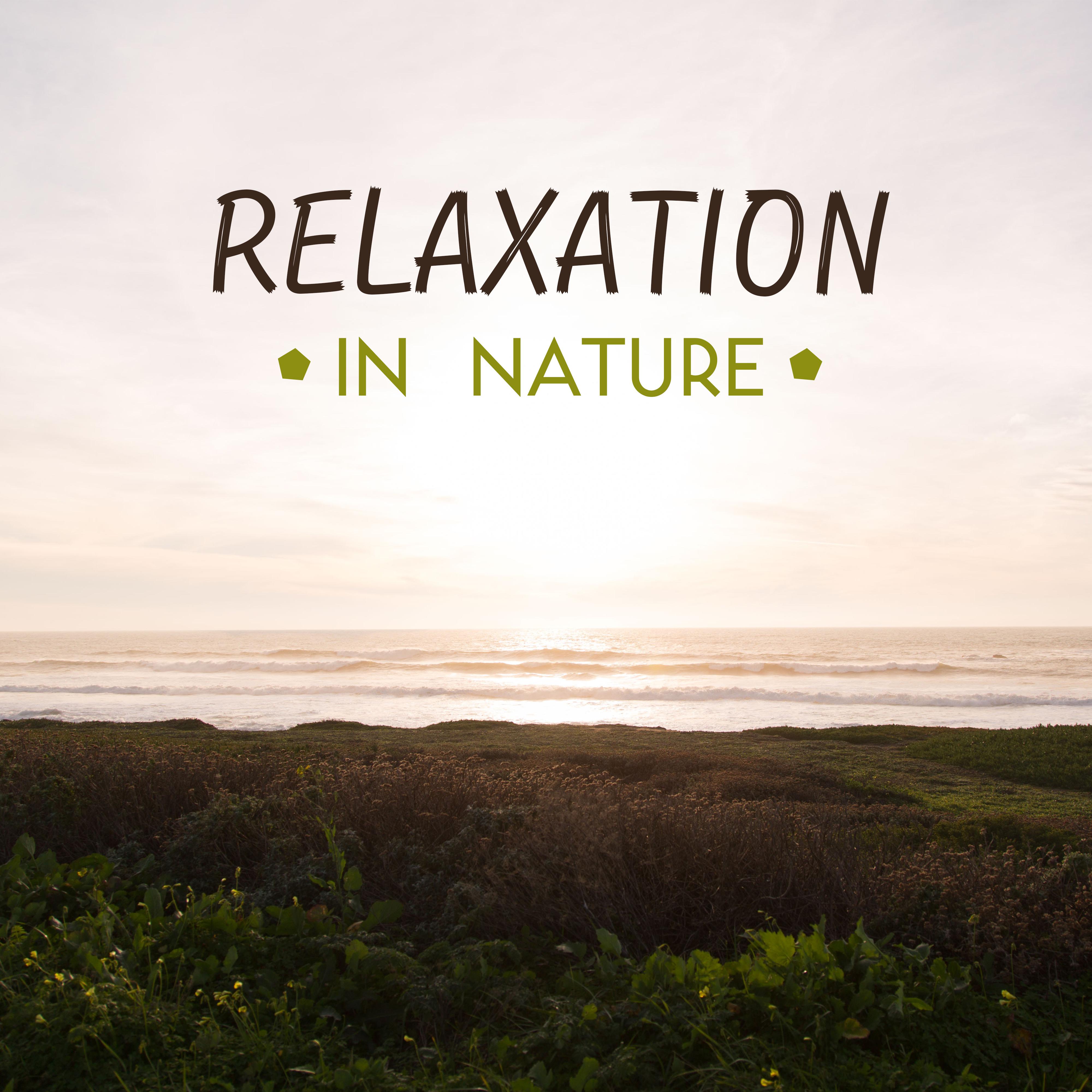 Relaxation in Nature