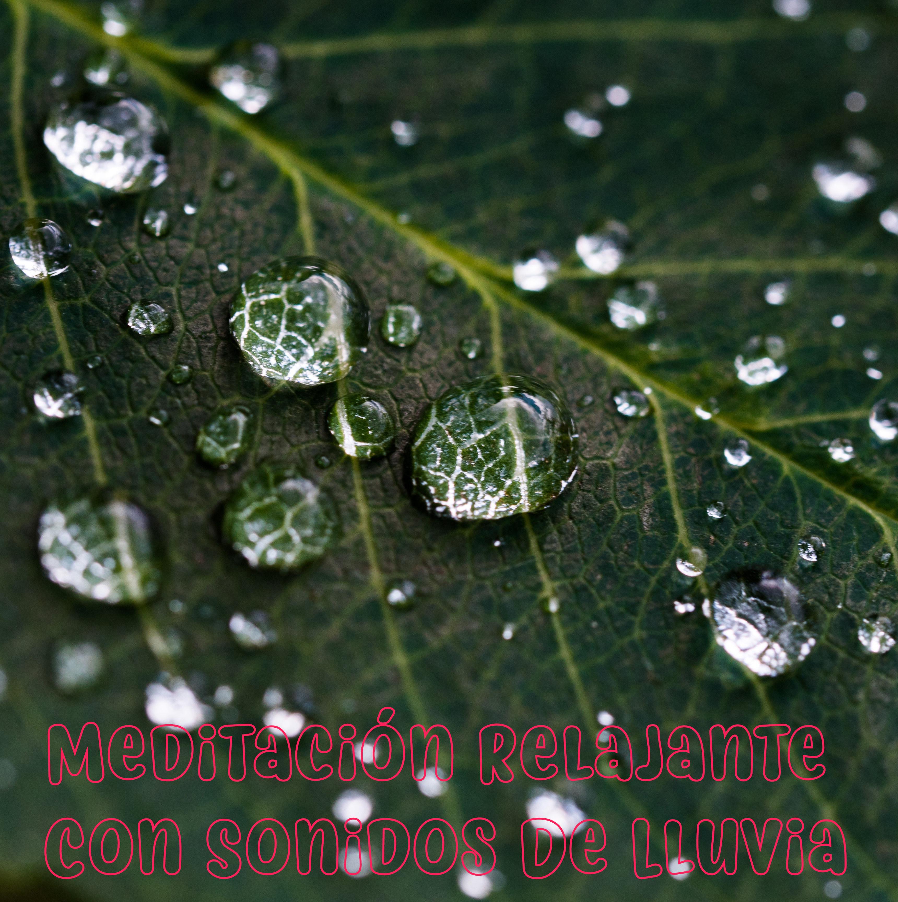 Meditación Relajante Con Sonidos De Lluvia, Recopilación De Sonidos De Lluvia Para Conciliar El Sueño, Estudio, Concentración, Zen, Yoga, Masaje, Insomnio