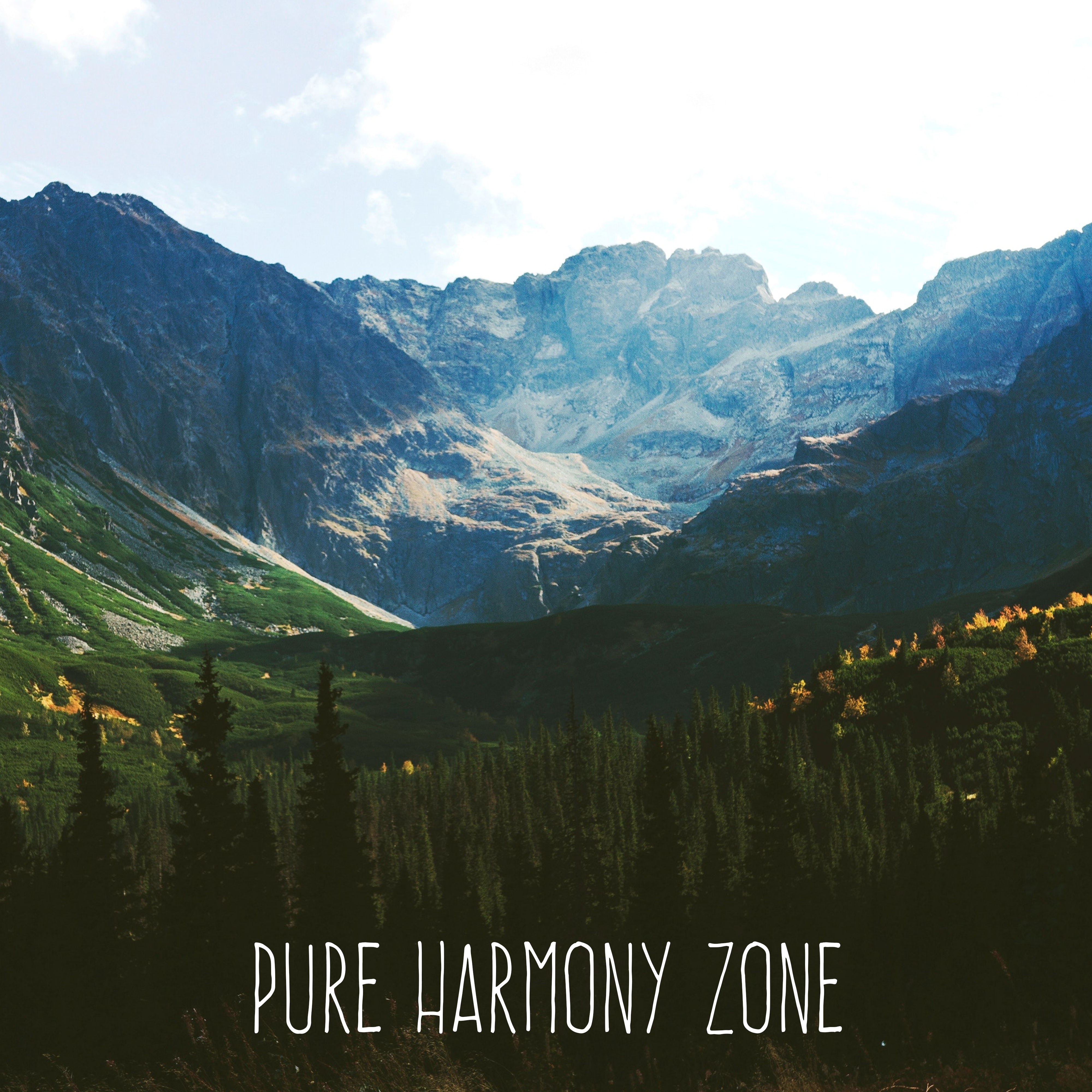 Pure Harmony Zone