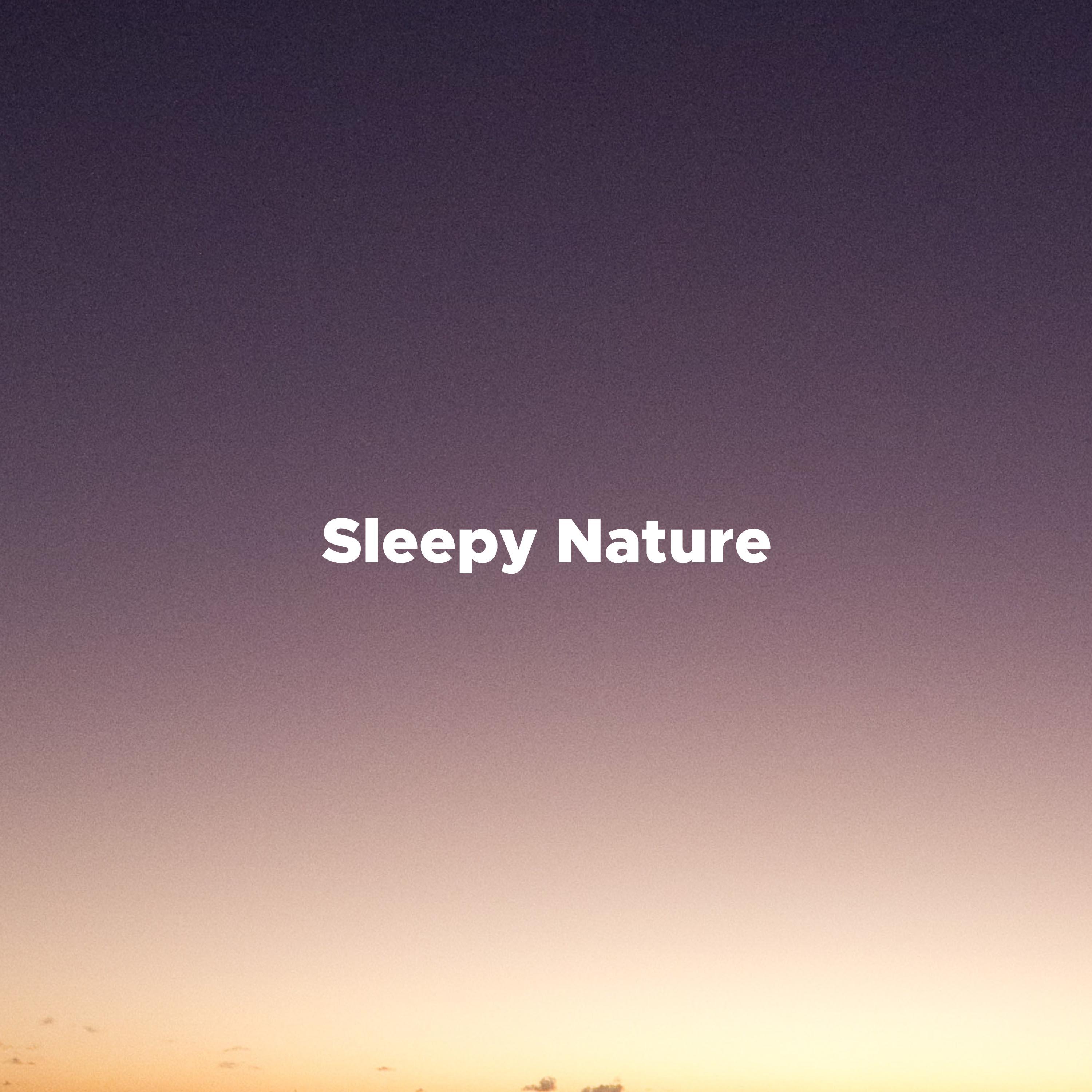 Sleepy Nature - Relaxing Music for Massage, Spa, Yoga, Stress Relief, Meditation with Thunderstorm, Nature Sounds, Sleep Music