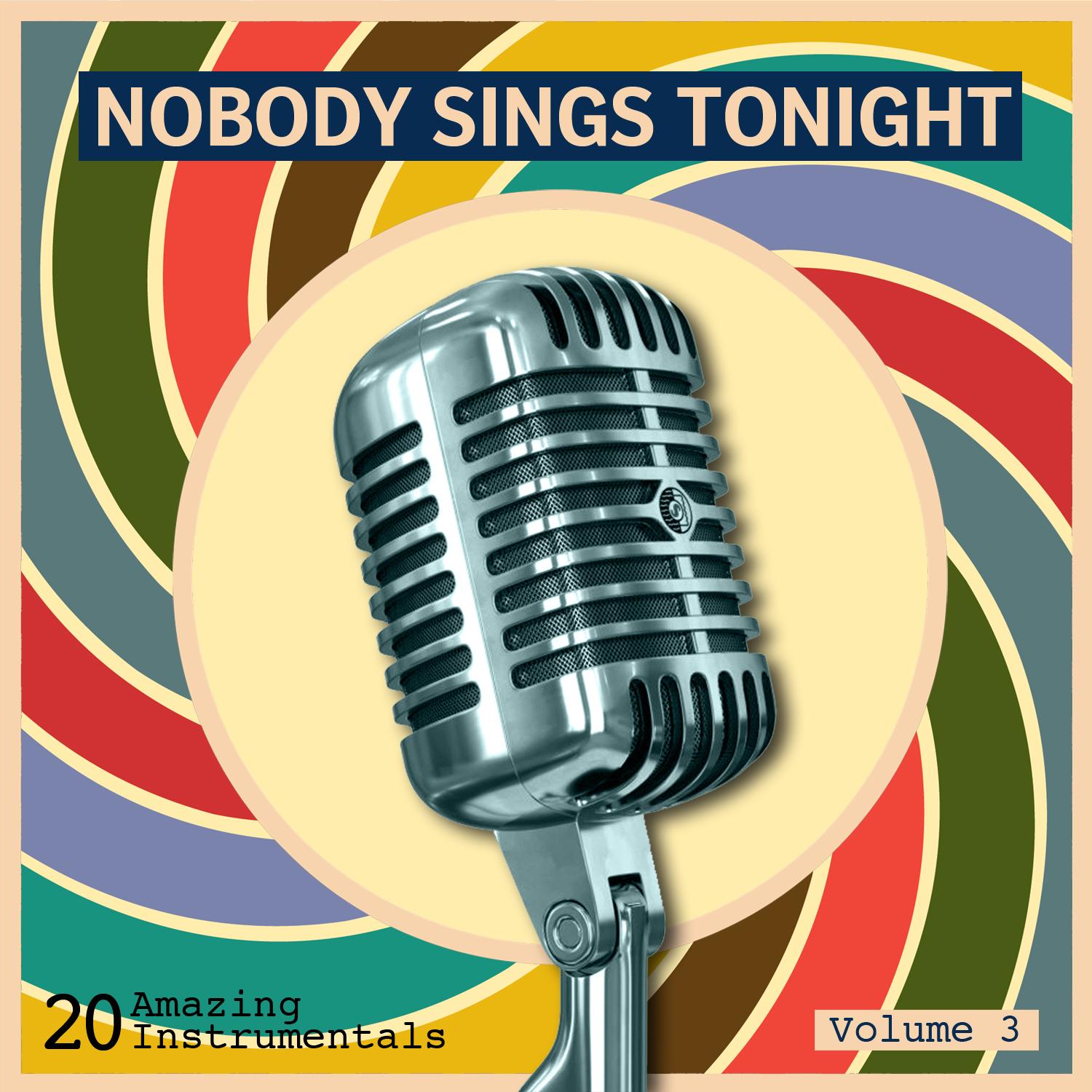 Nobody Sings Tonight: Great Instrumentals Vol. 3