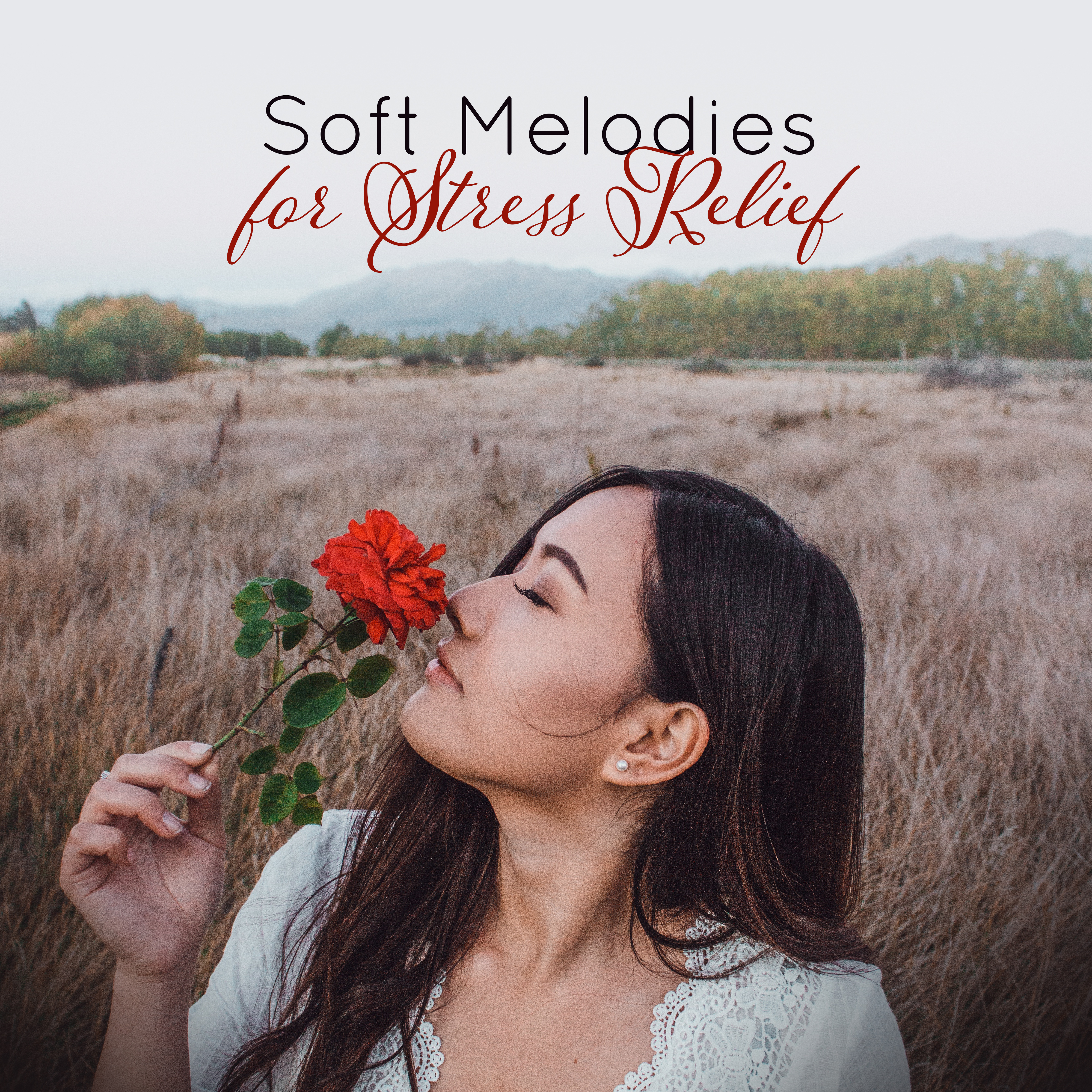 Soft Melodies for Stress Relief