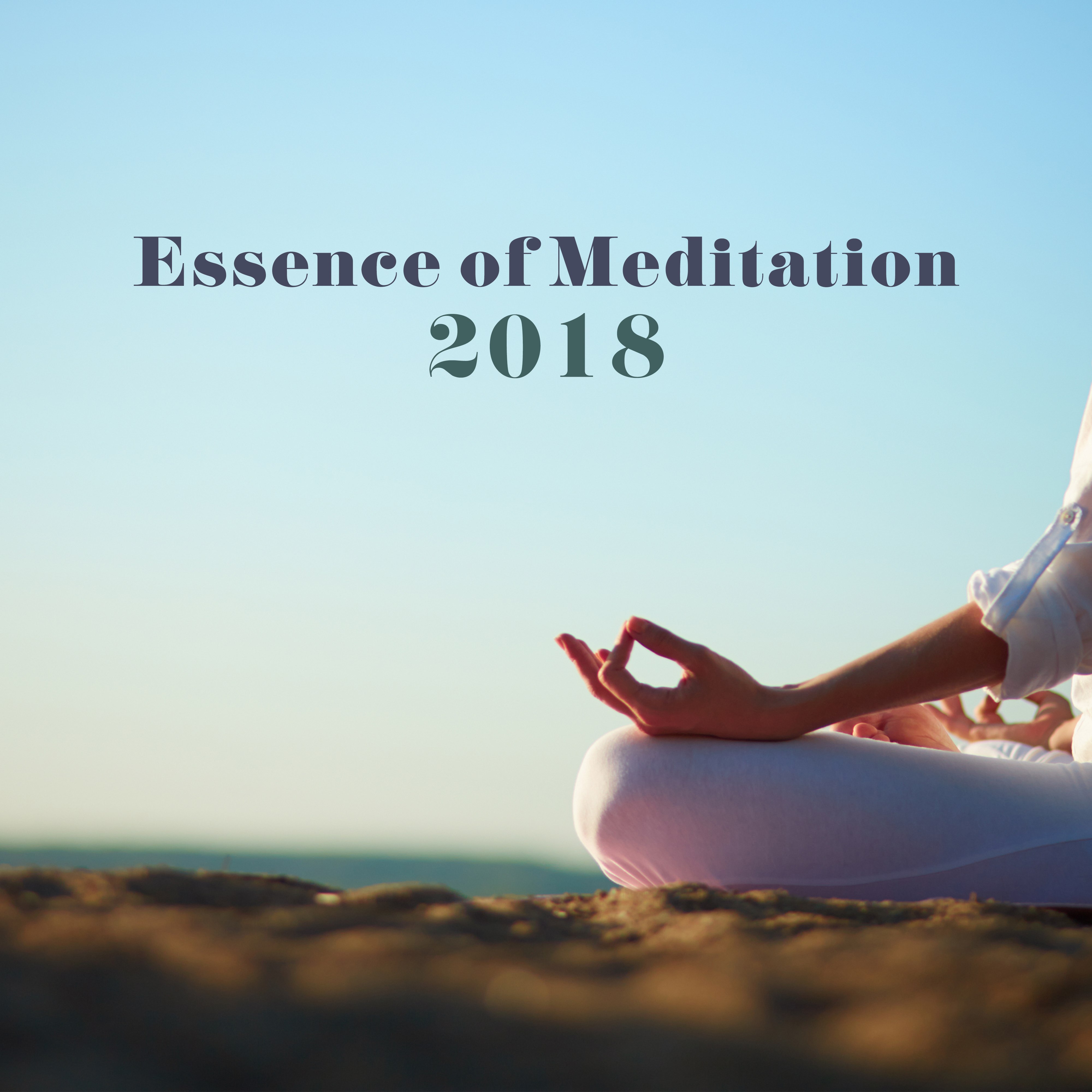 Essence of Meditation 2018