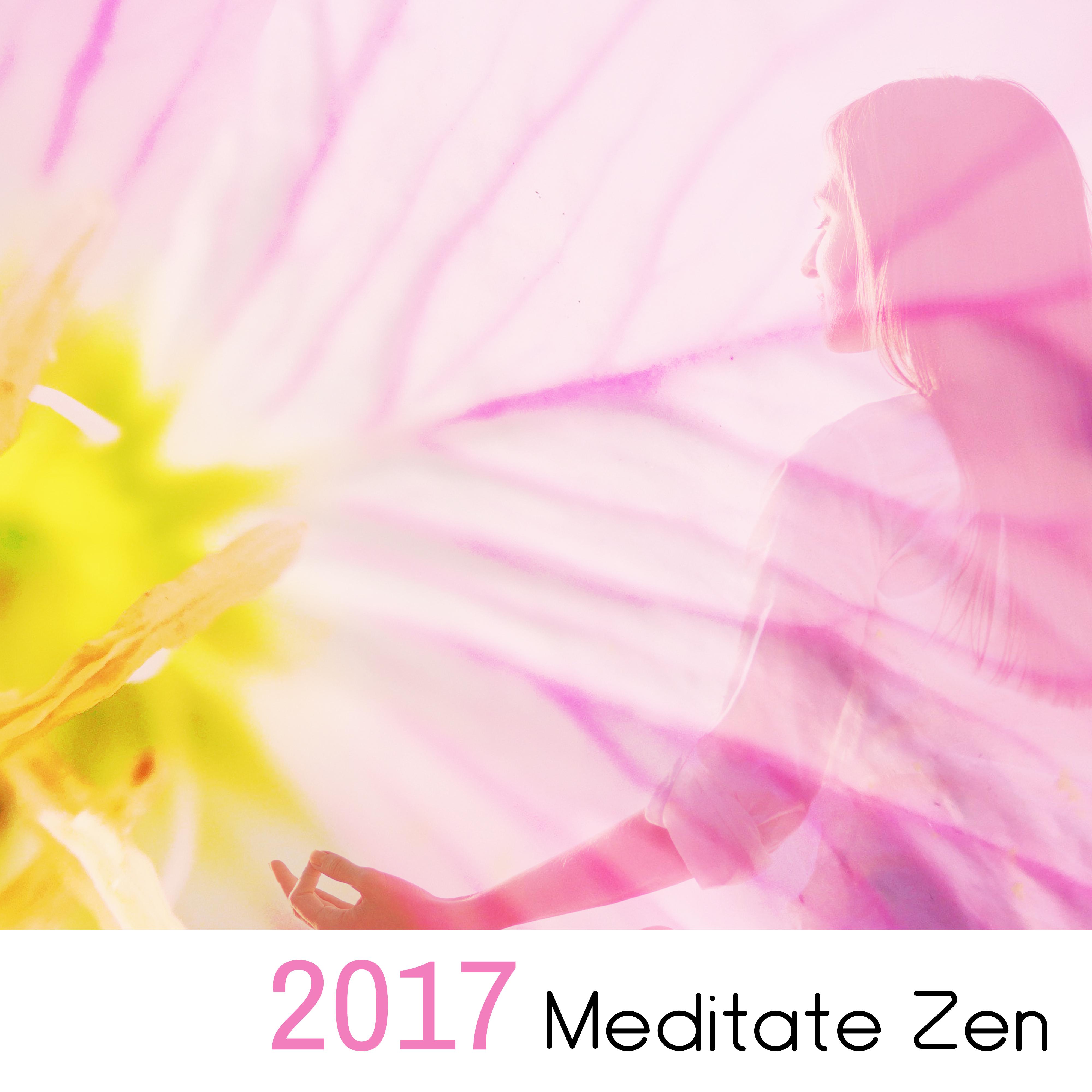 2017 Meditate Zen