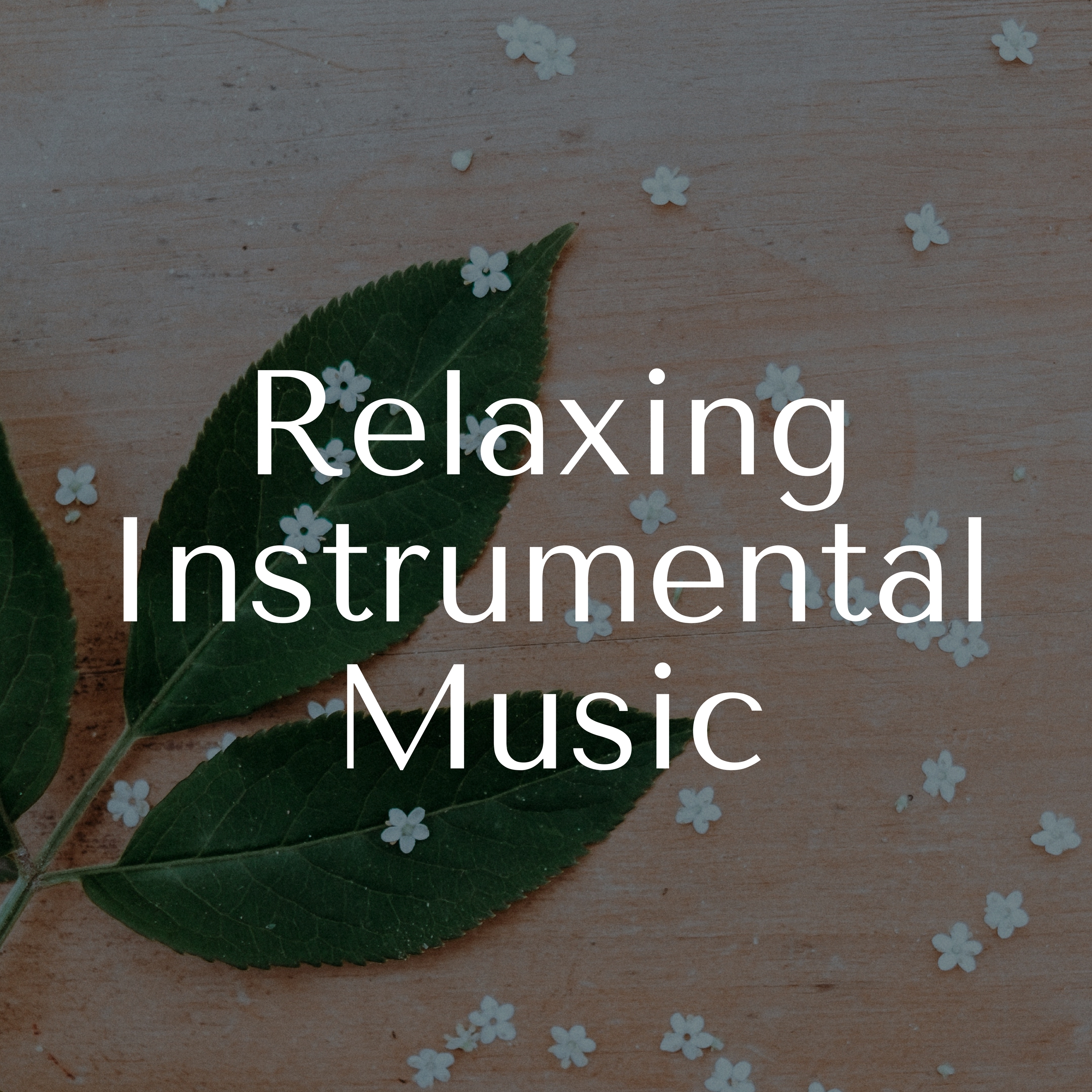 Relaxing Instrumental Music