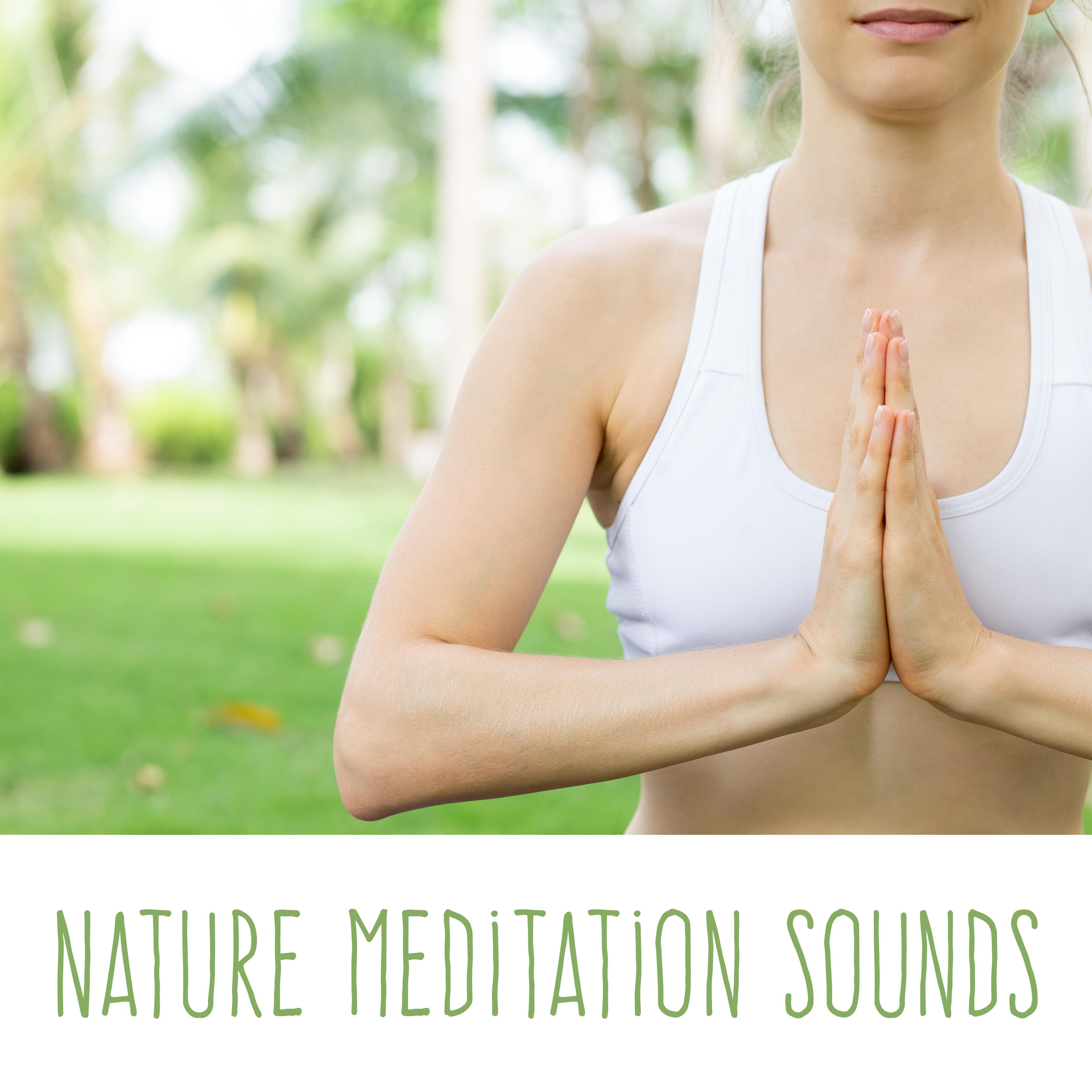 Nature Meditation Sounds