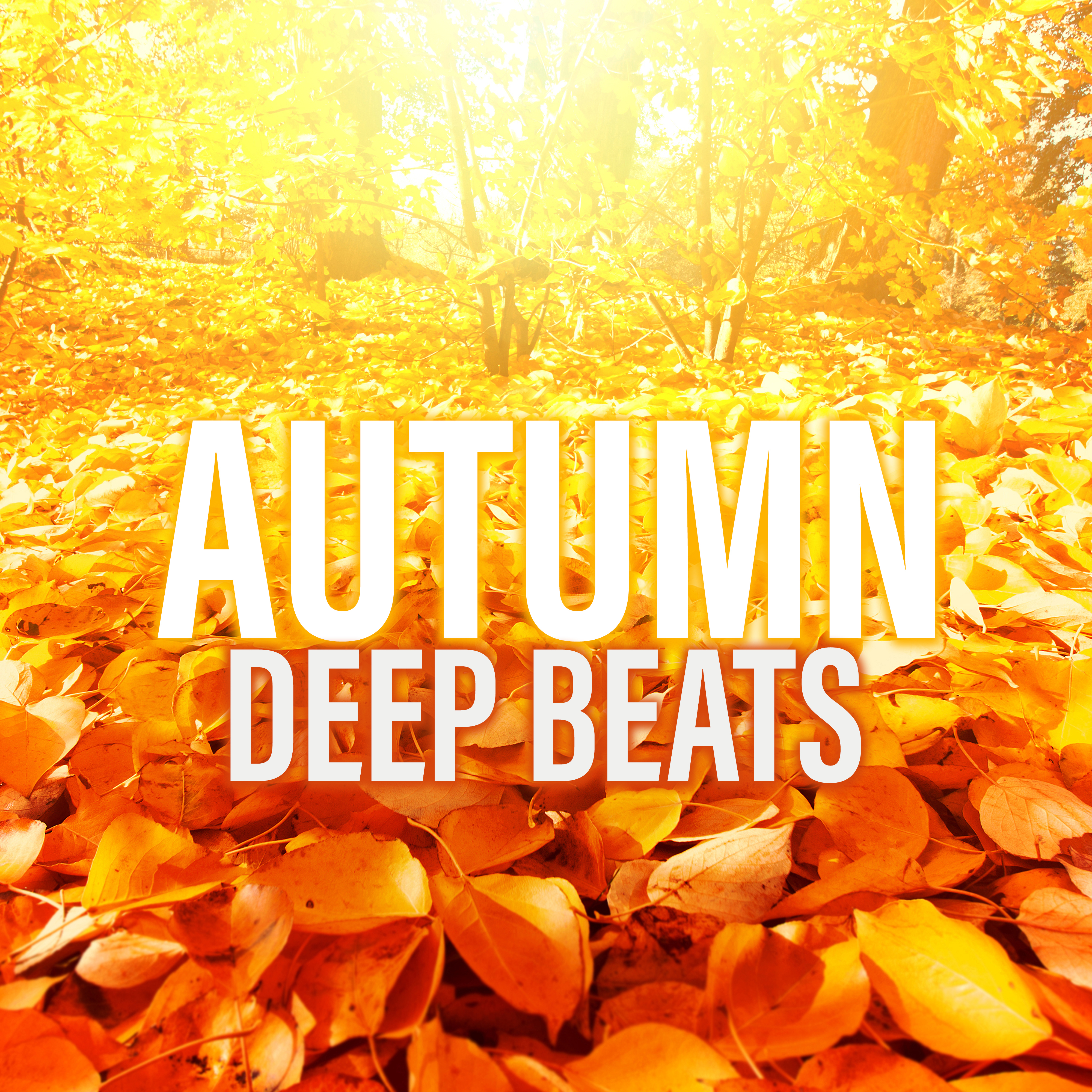 Autumn Deep Beats