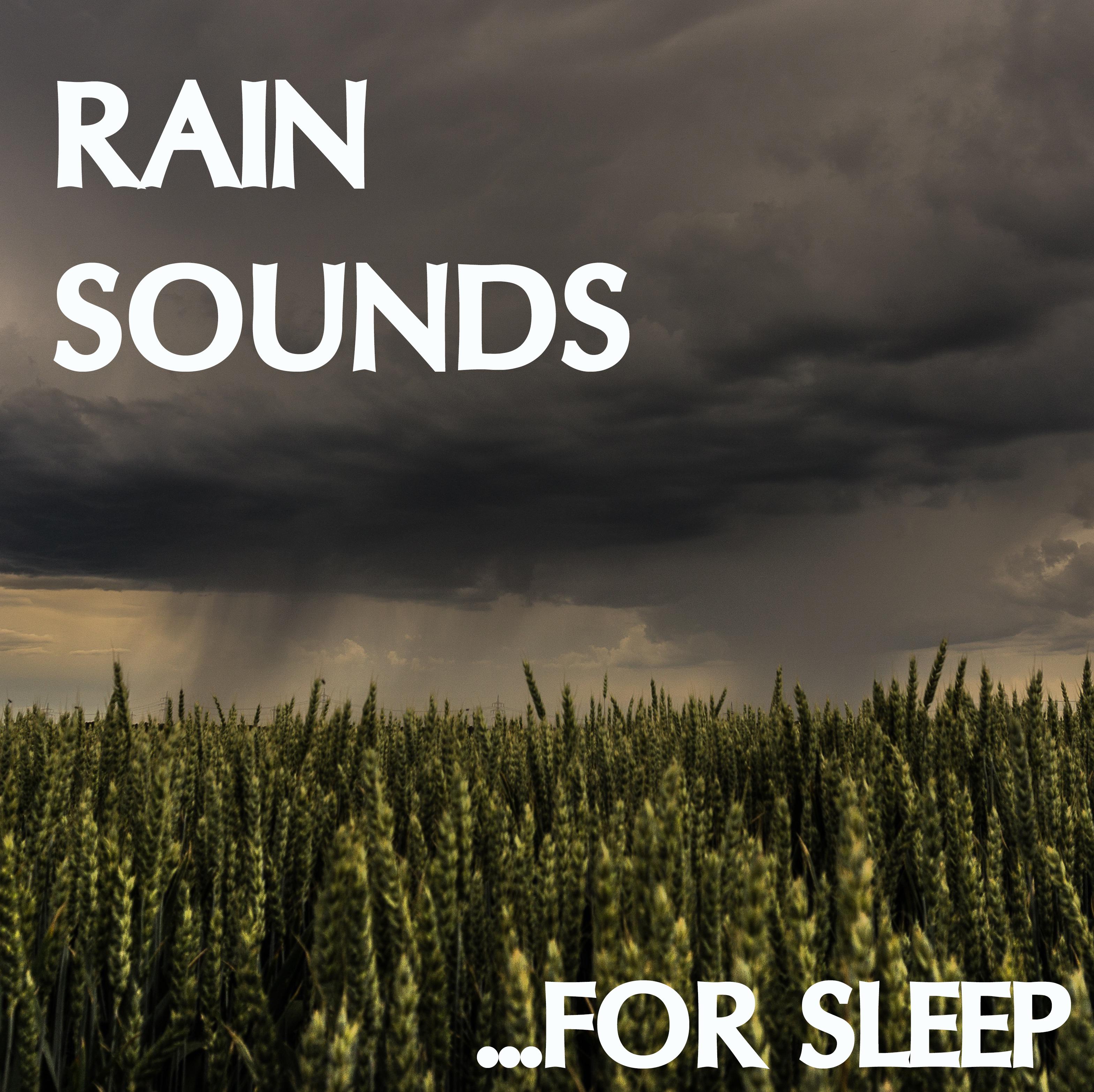 19 Rain Sounds: Sleep Better with Rain Sounds (Loopable)