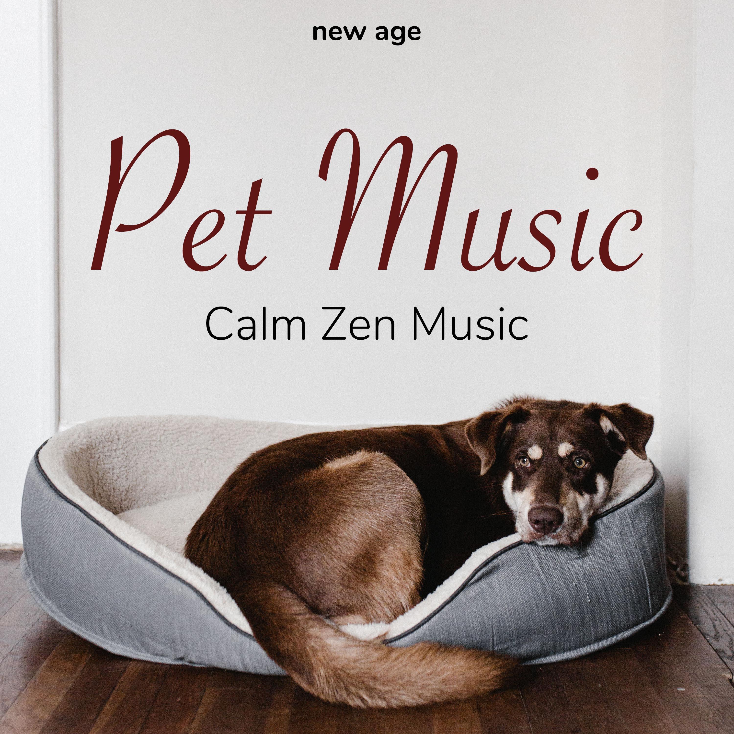 Pet Music - Calm Zen Music for Dogs and Kittens