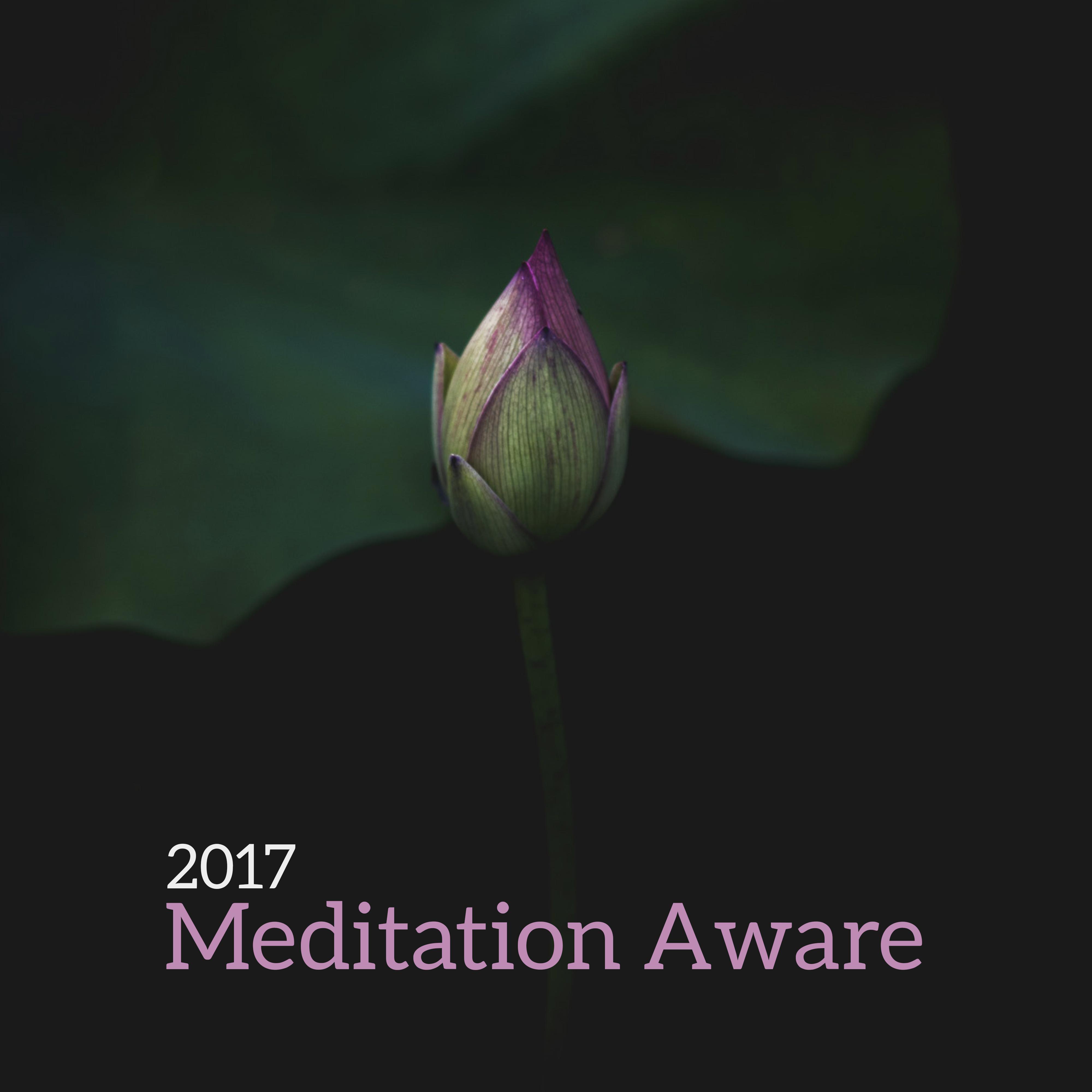 2017 Meditation Aware