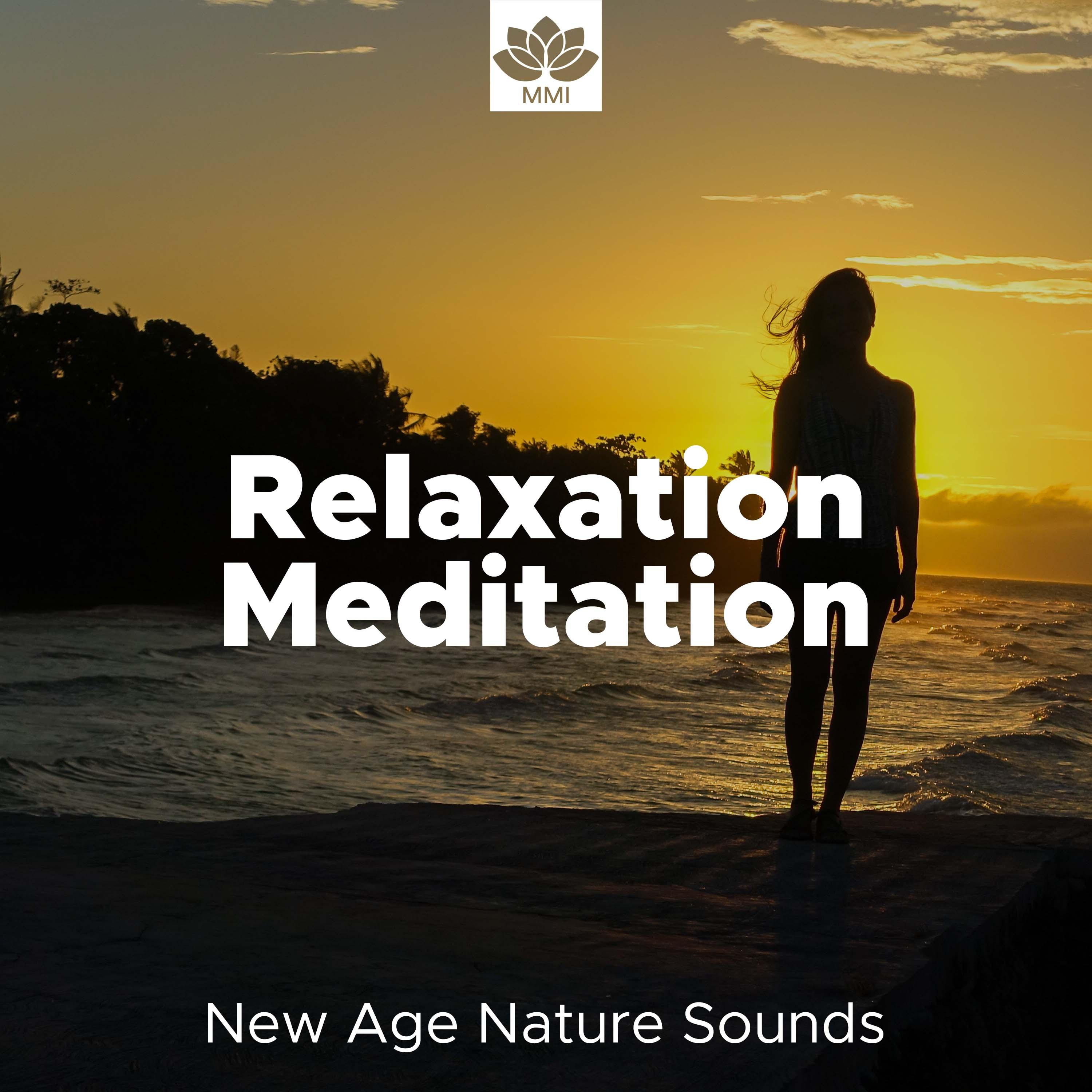 New Age and Nature Sounds for Relaxation Meditation
