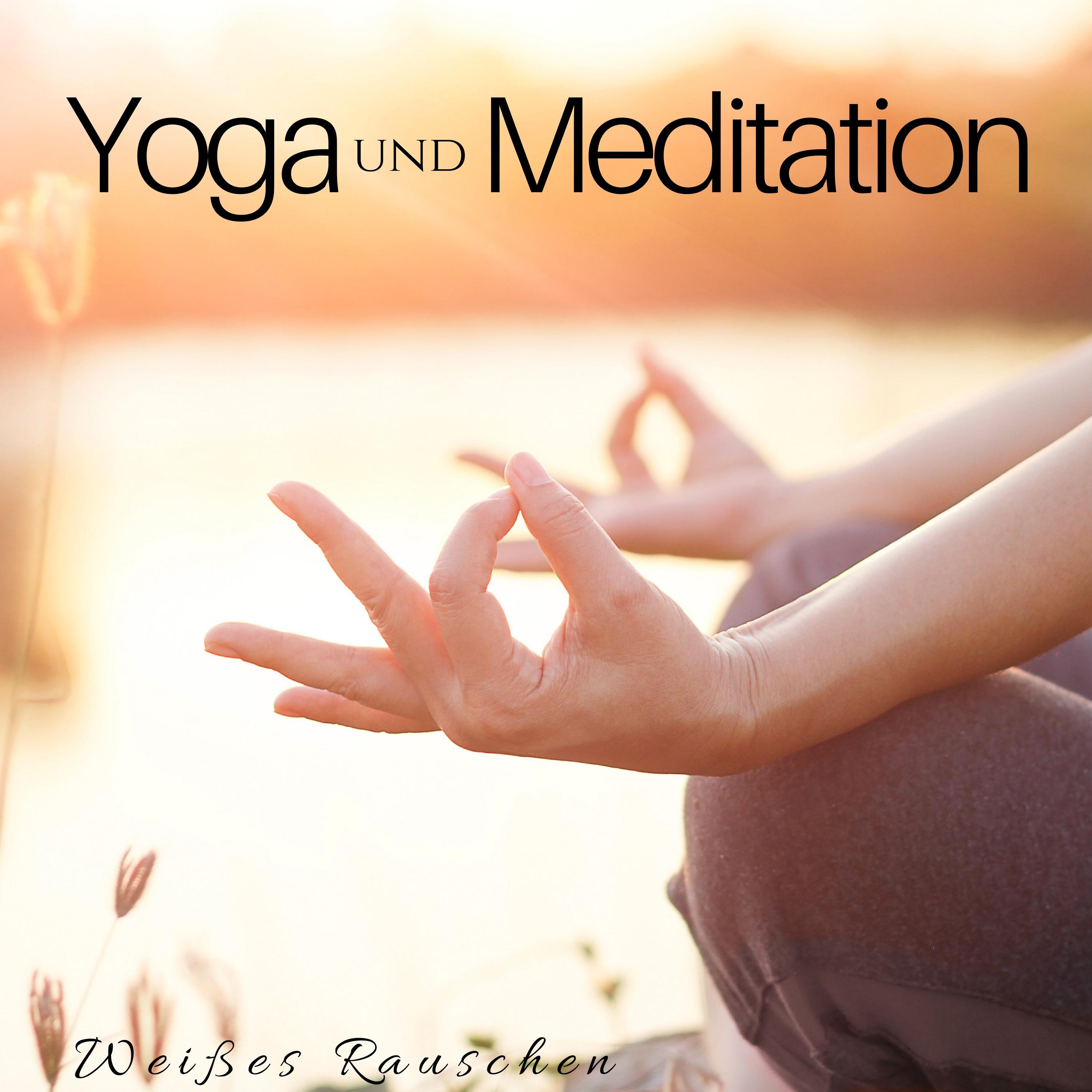 Yoga und Meditation: Weißes Rauschen und Entspannende Naturgeräusche (Vögel, Regen, Tibetanische Schalen)