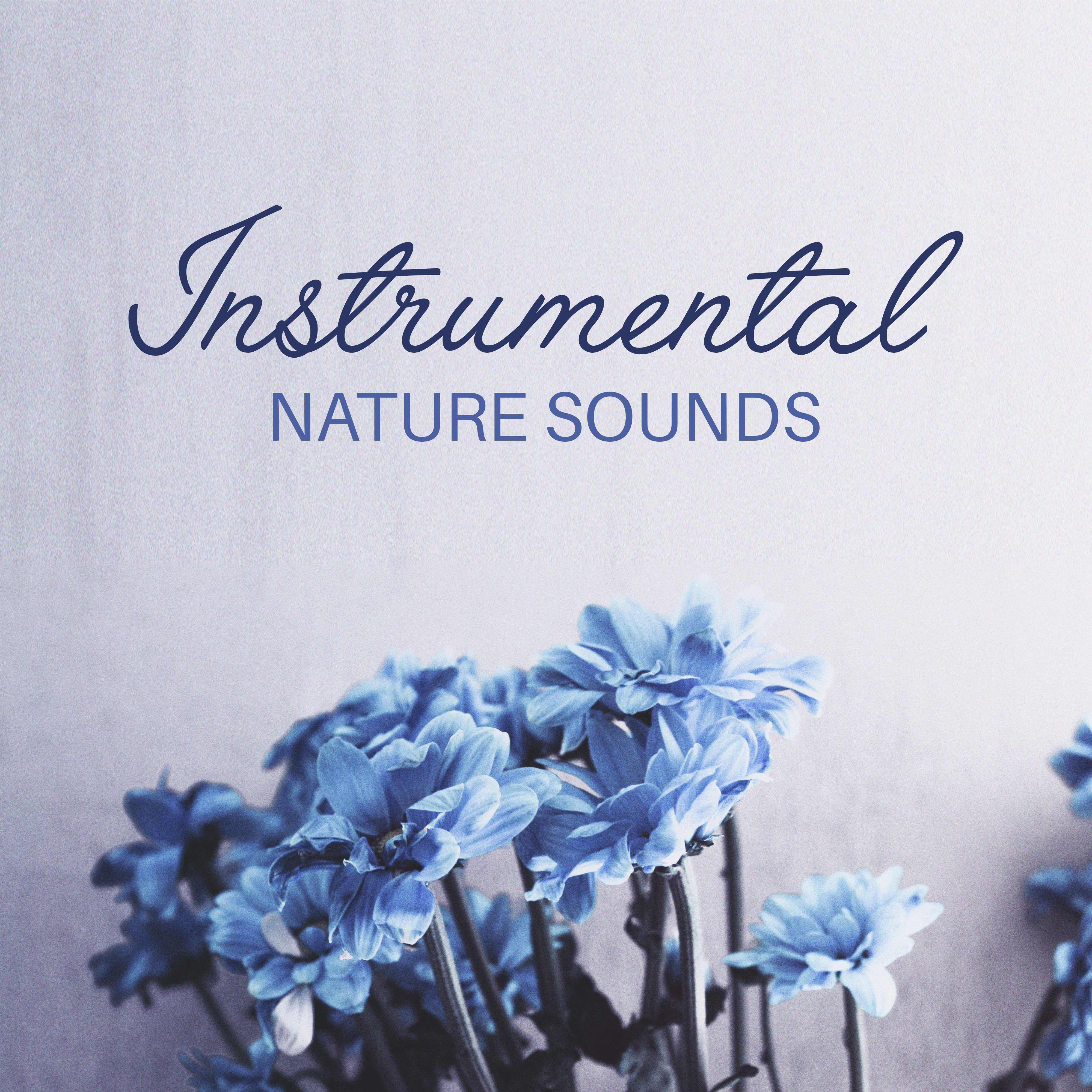 Instrumental Nature Sounds
