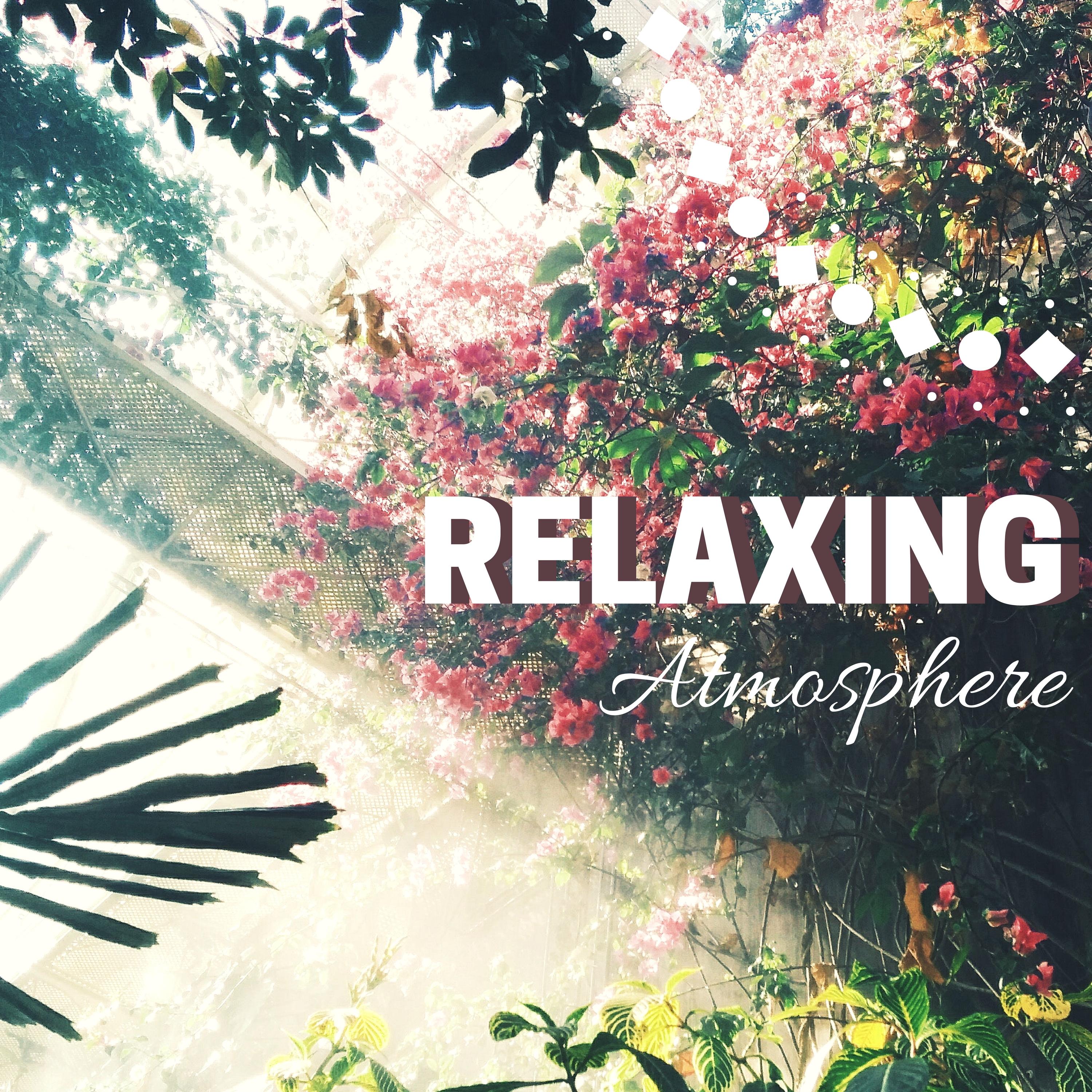 Relaxing Atmosphere