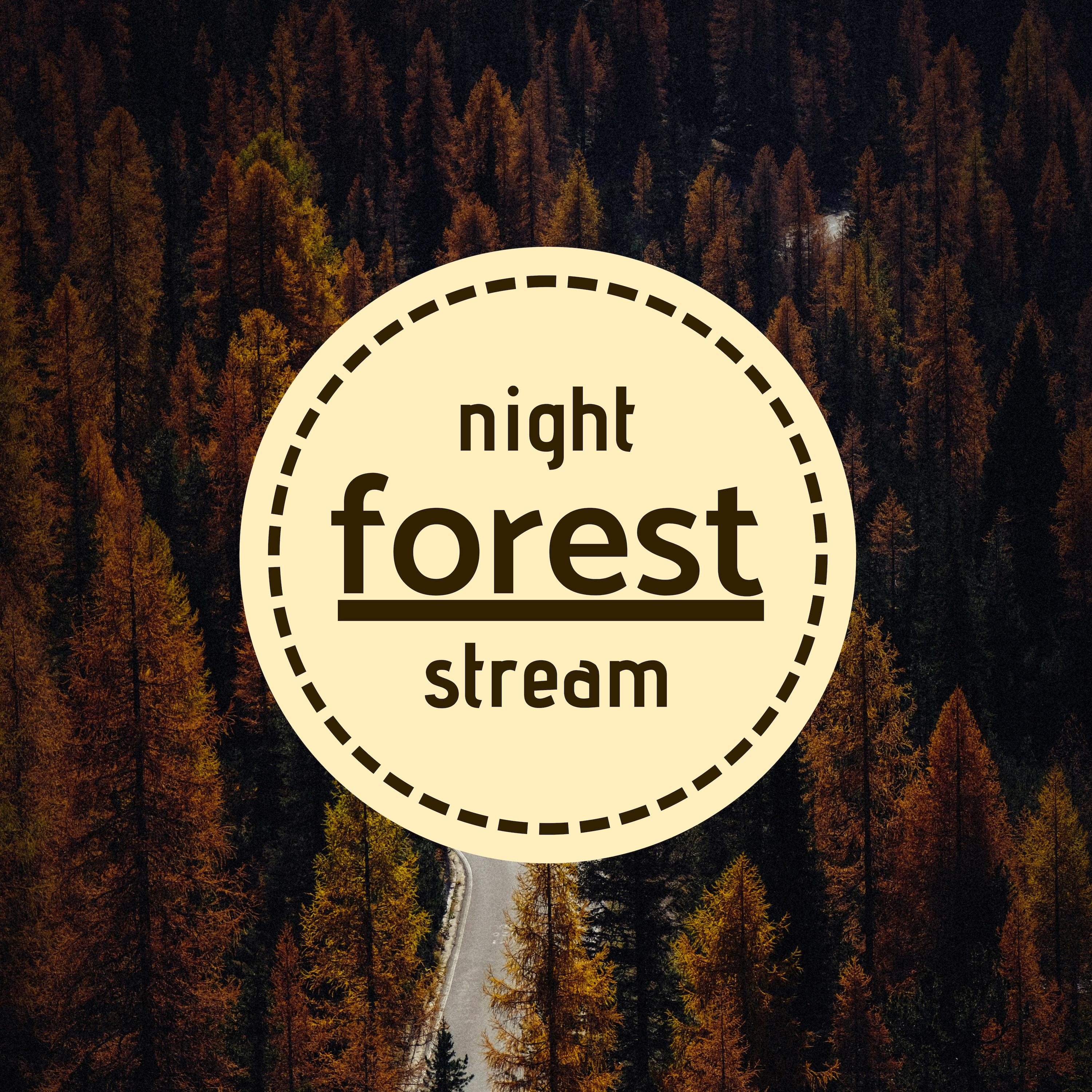 Night Forest Stream - Fresh Autumn Nightime Ambience Sounds, Woodland Background
