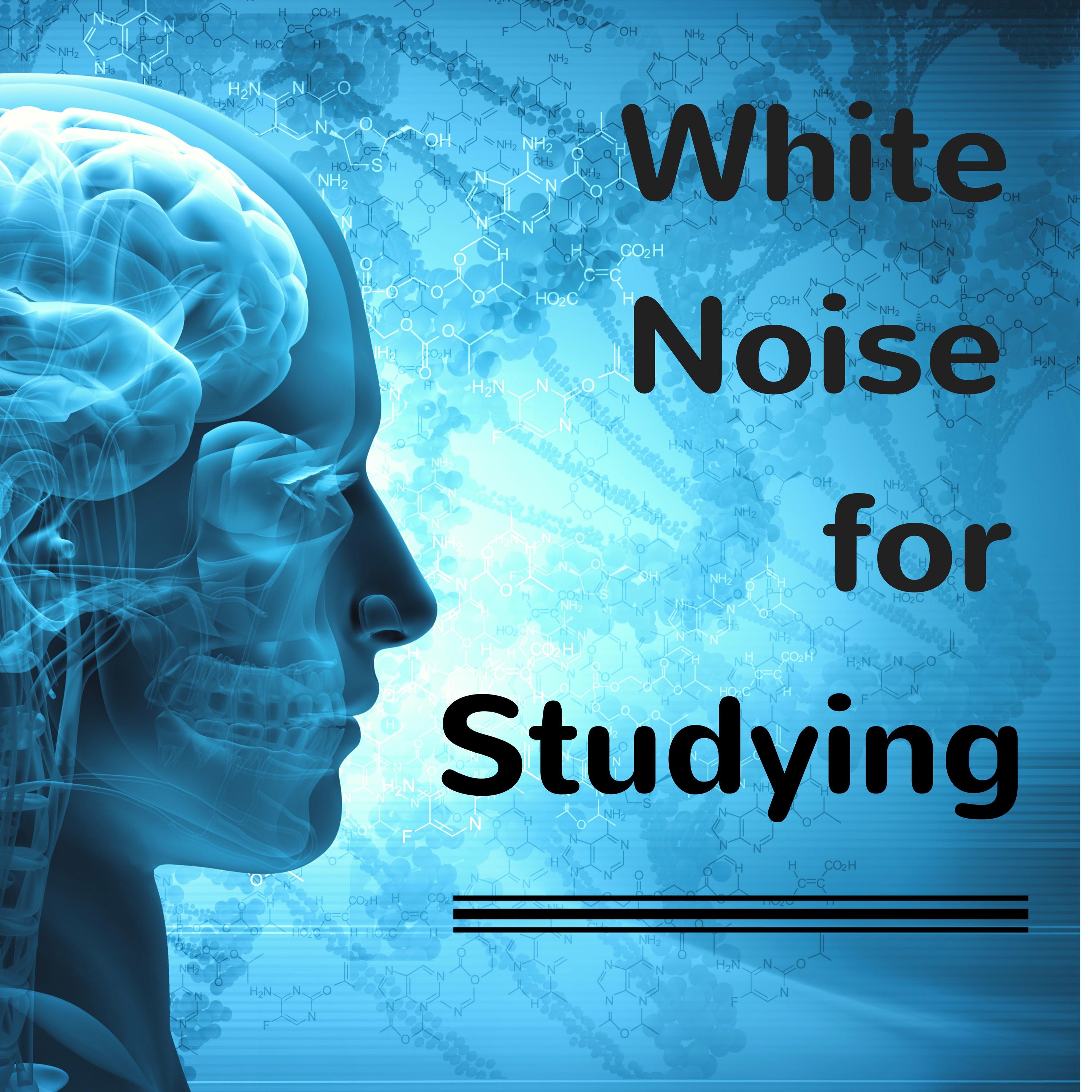 White Noise for Studying