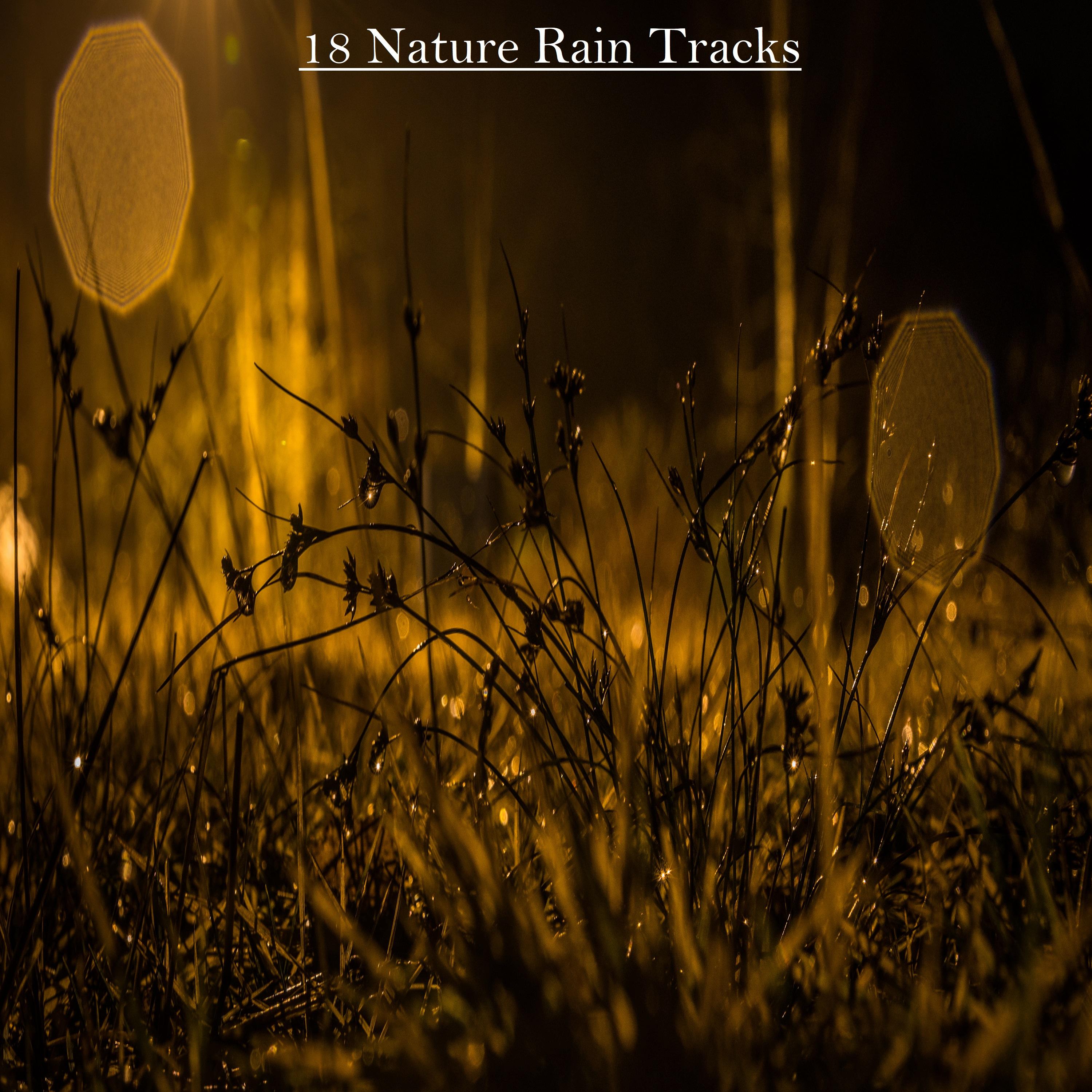 18 Nature Rain Tracks for Meditation, Sleep and Baby Sleep Aid
