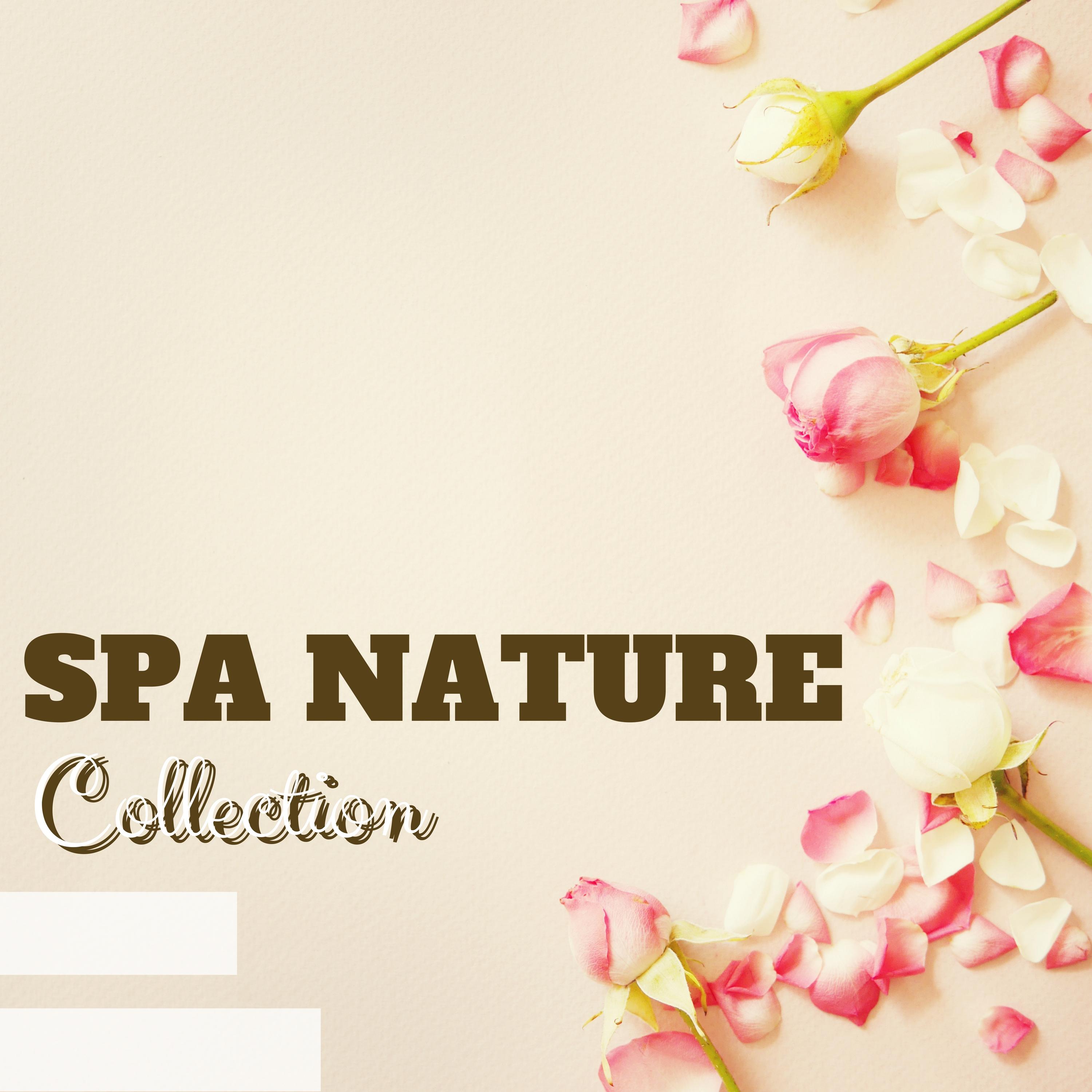 Spa Nature Collection - Stress Management Music for Yoga Relaxation & Brain Stimulation