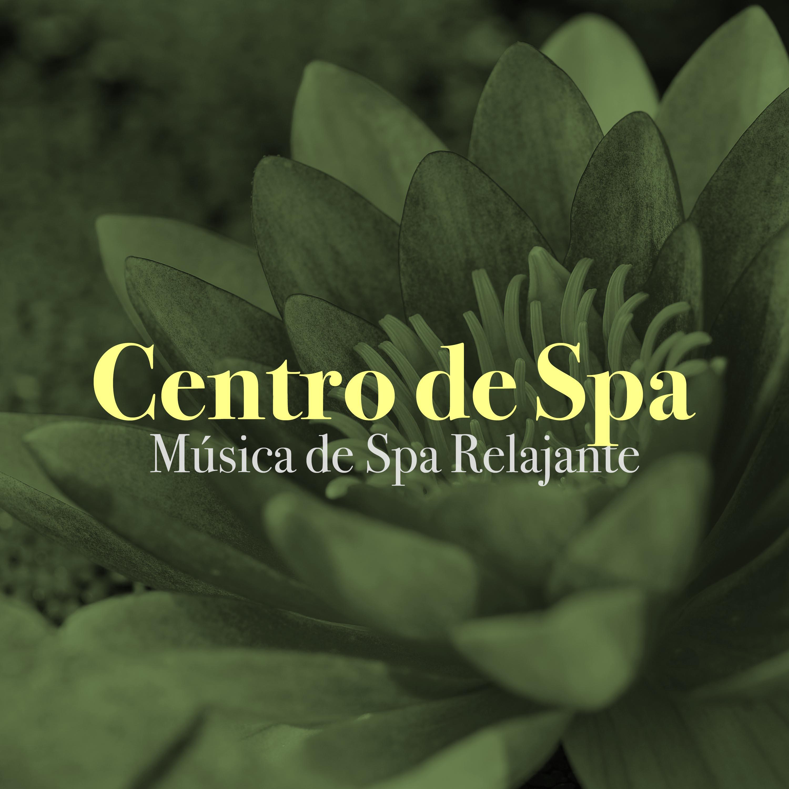 Centro de Spa: Música de Spa Relajante, Baños Termales, Masajes Thai