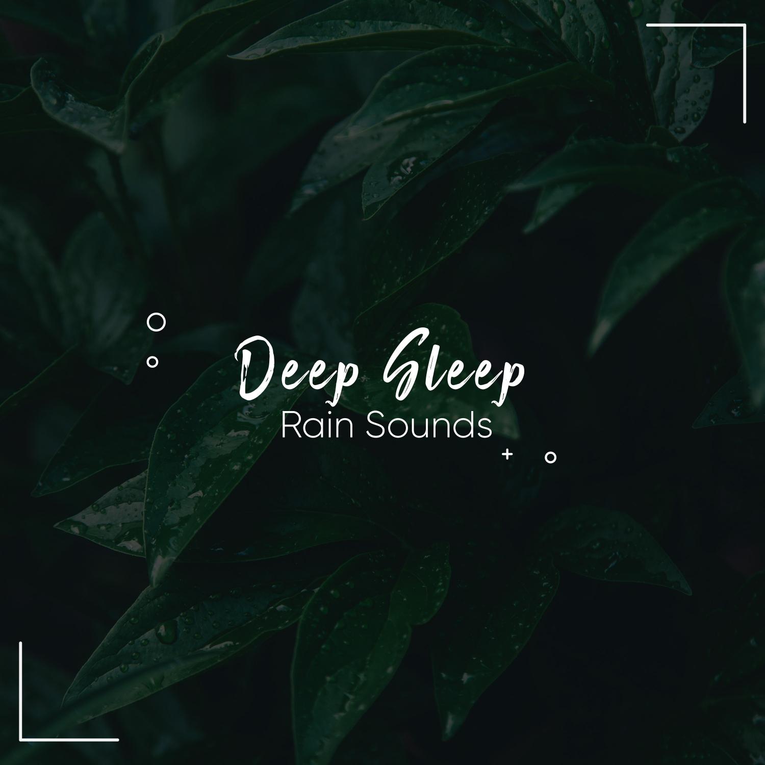 16 Deep Sleep Rain Sounds