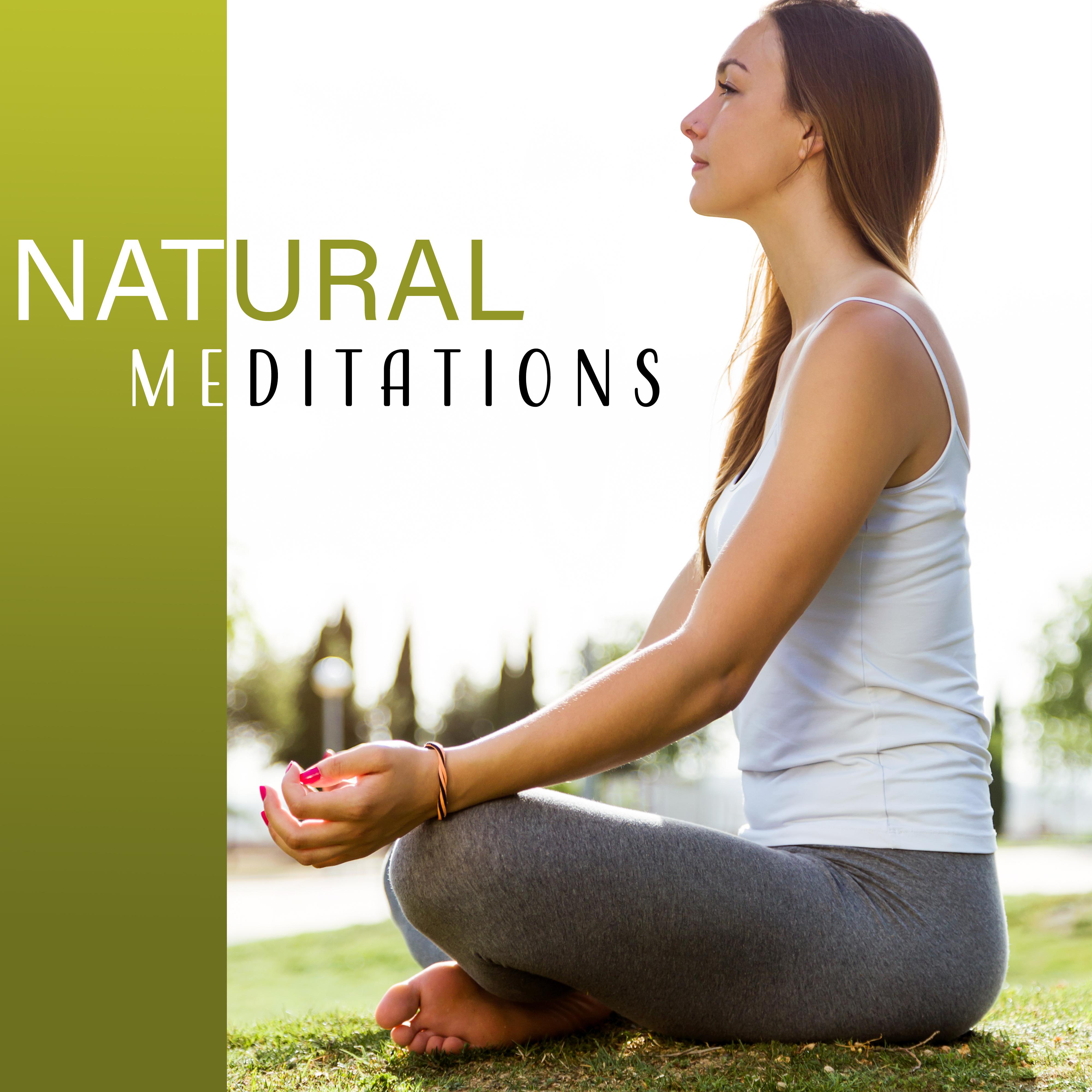 Natural Meditations