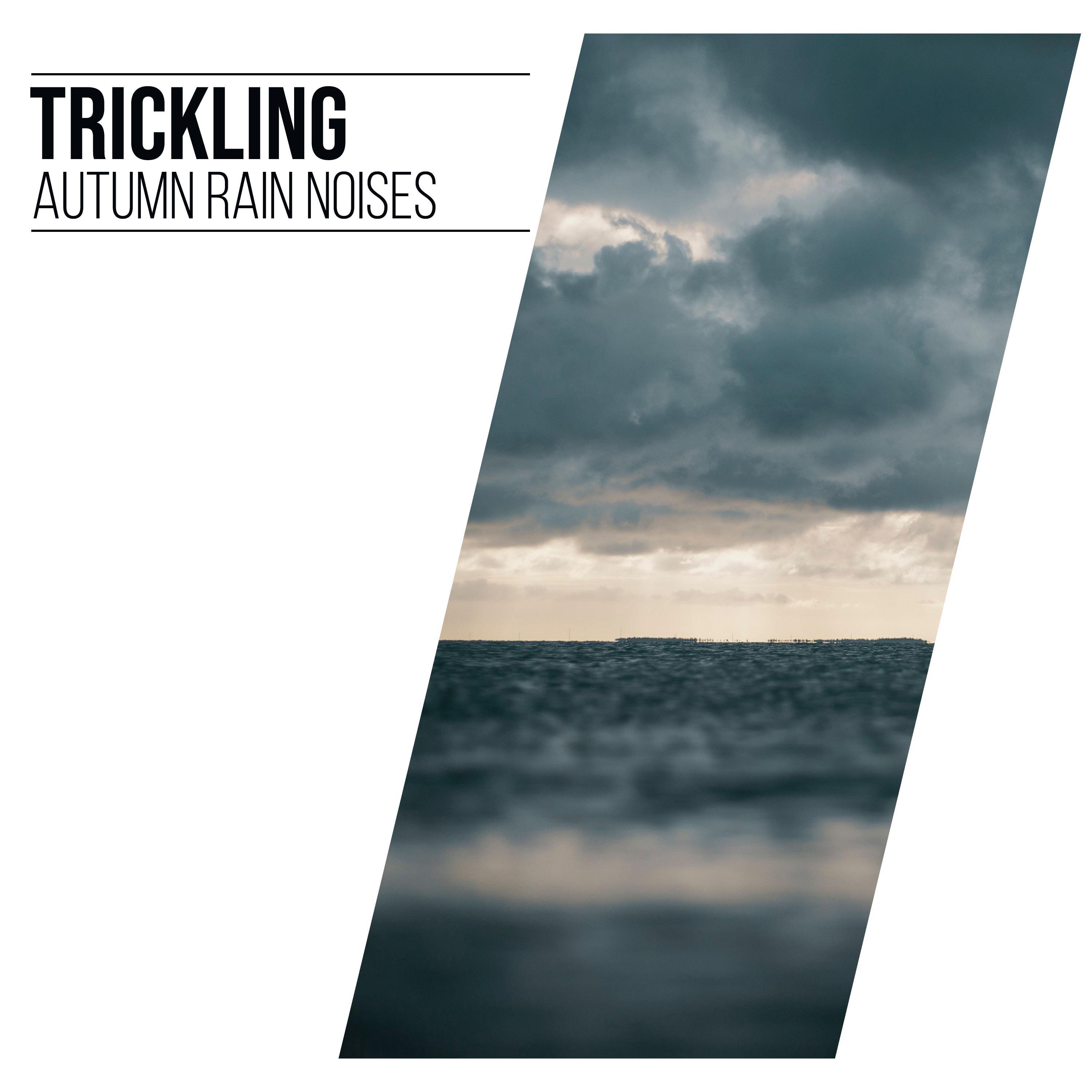 #20 Trickling Autumn Rain Noises