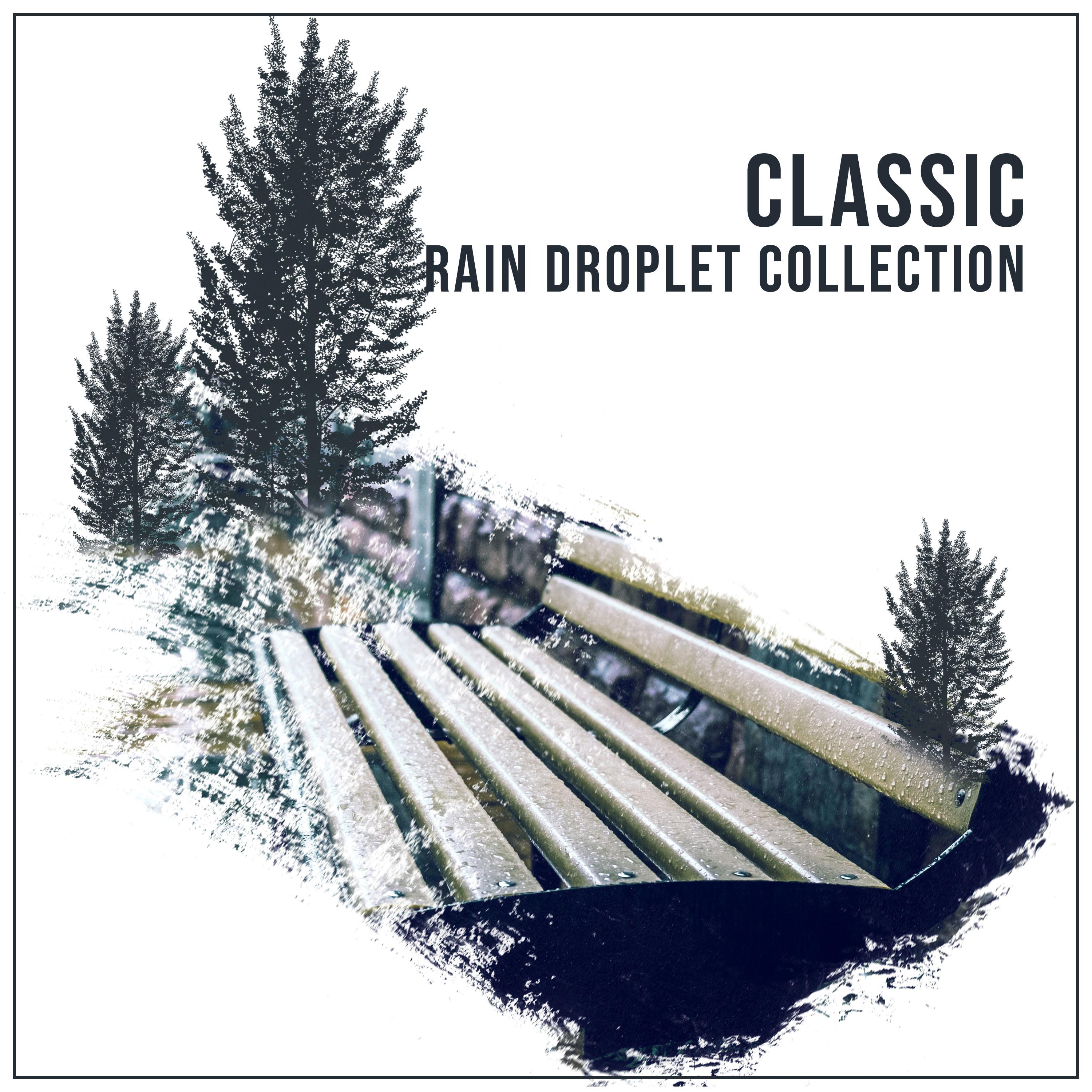 #18 Classic Rain Droplet Collection