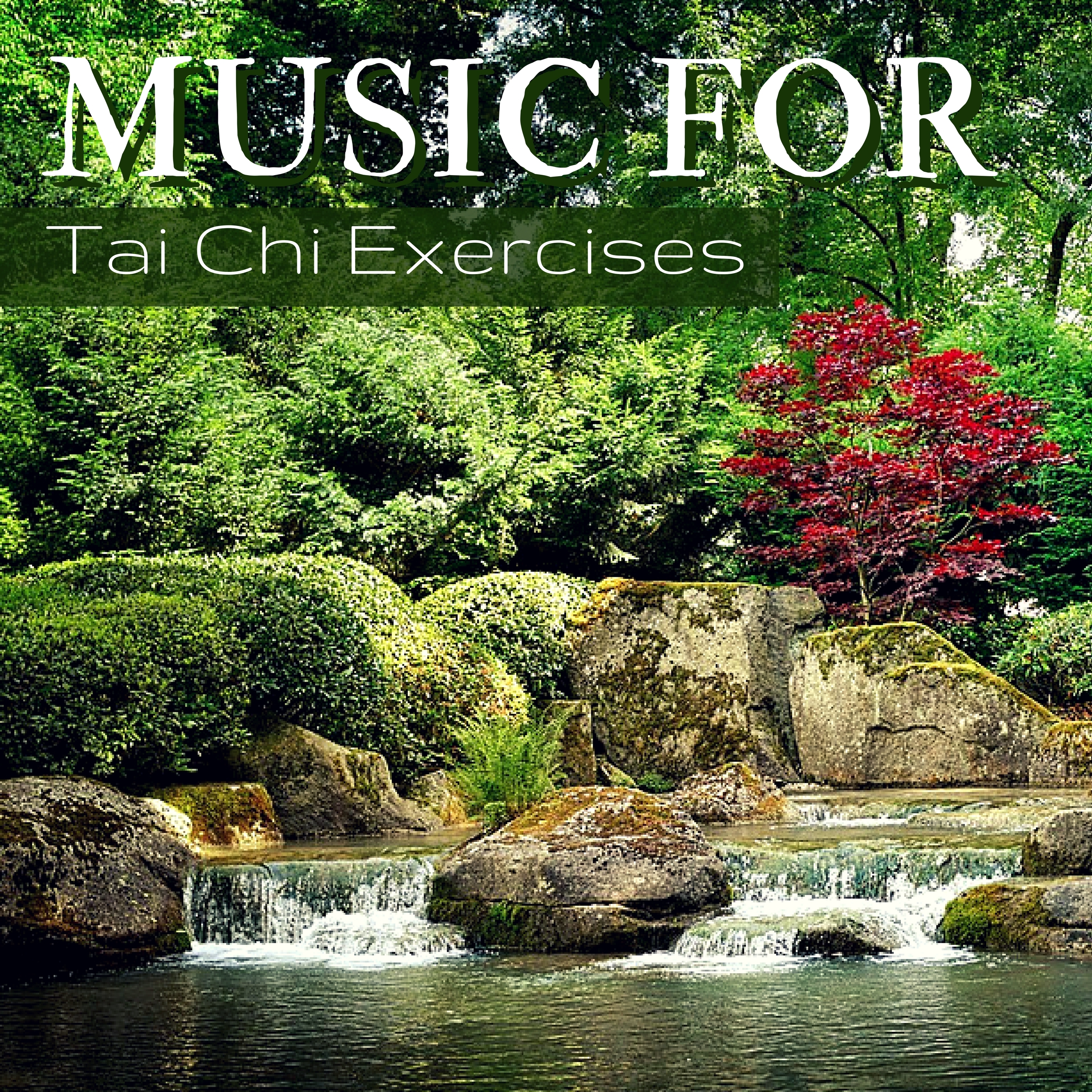 Music for Tai Chi Exercises