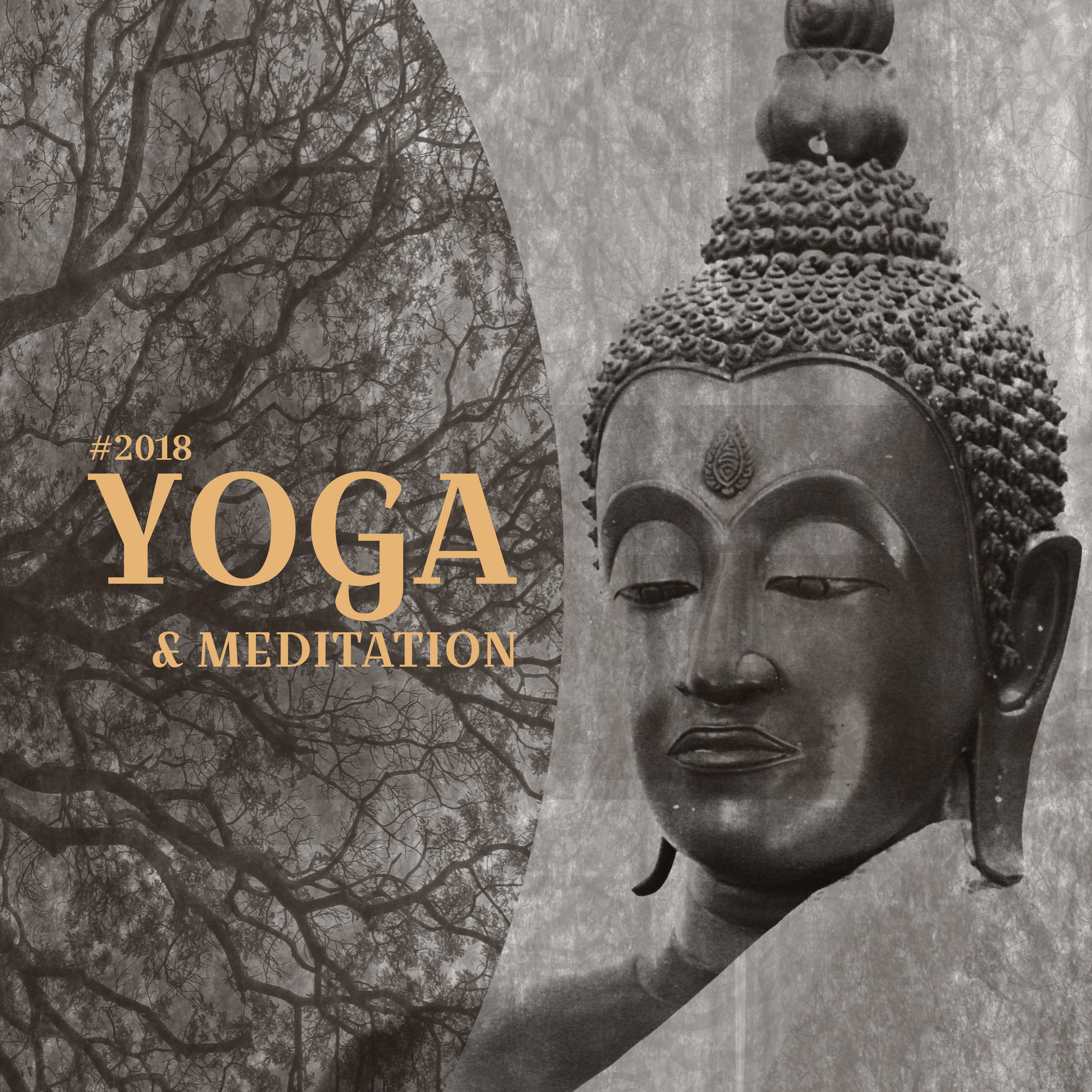 #2018 Yoga & Meditation