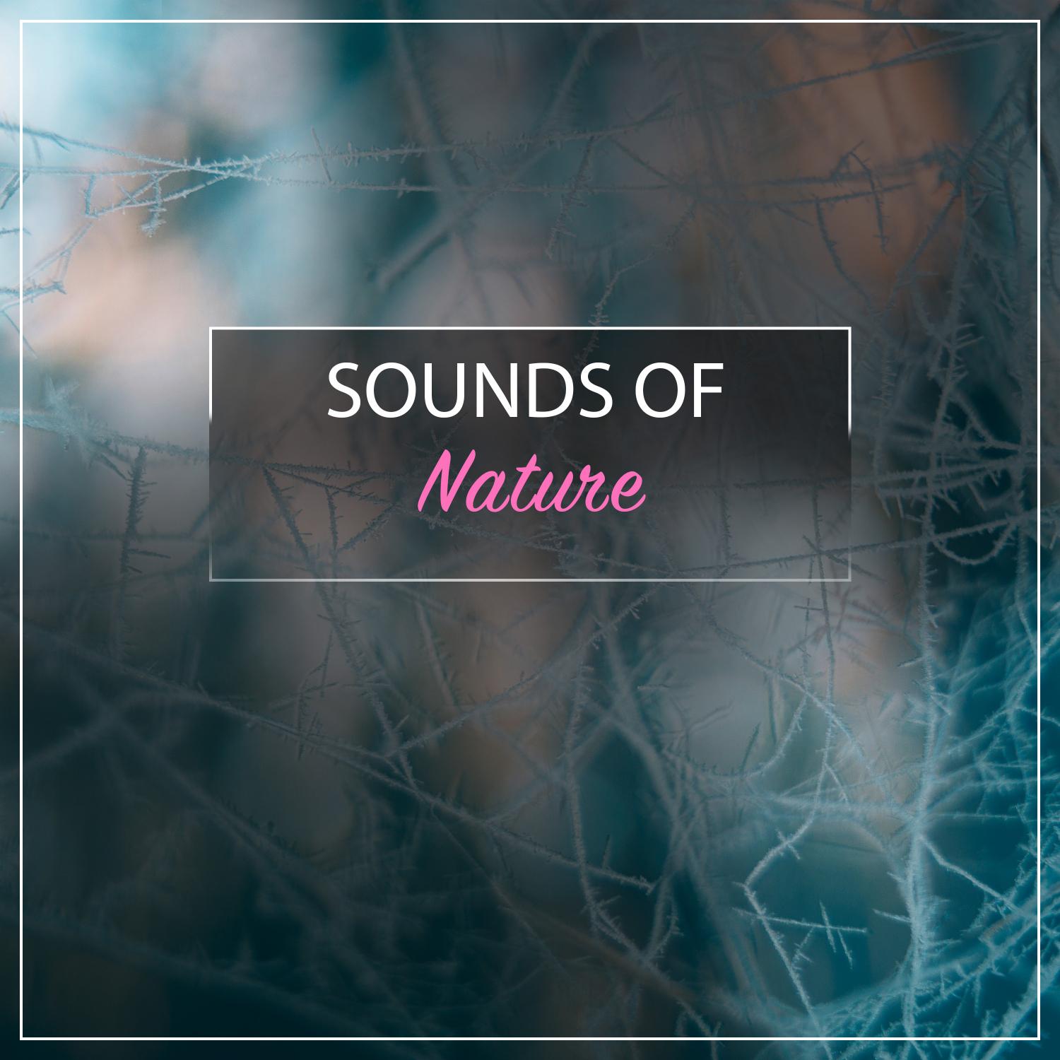 16 Sounds of Nature for Relaxation and Spa