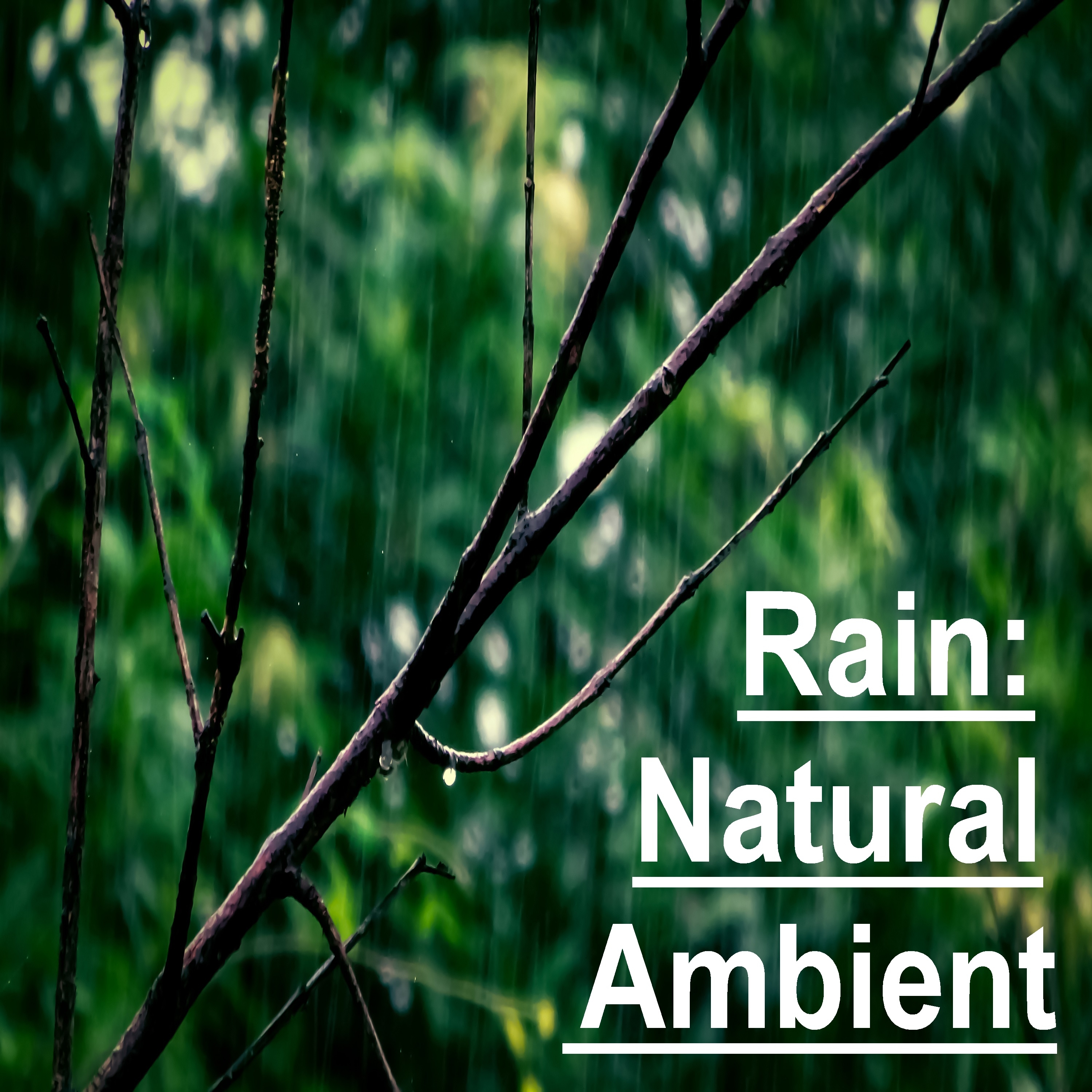 15 Ambient, Natural Rain Tracks
