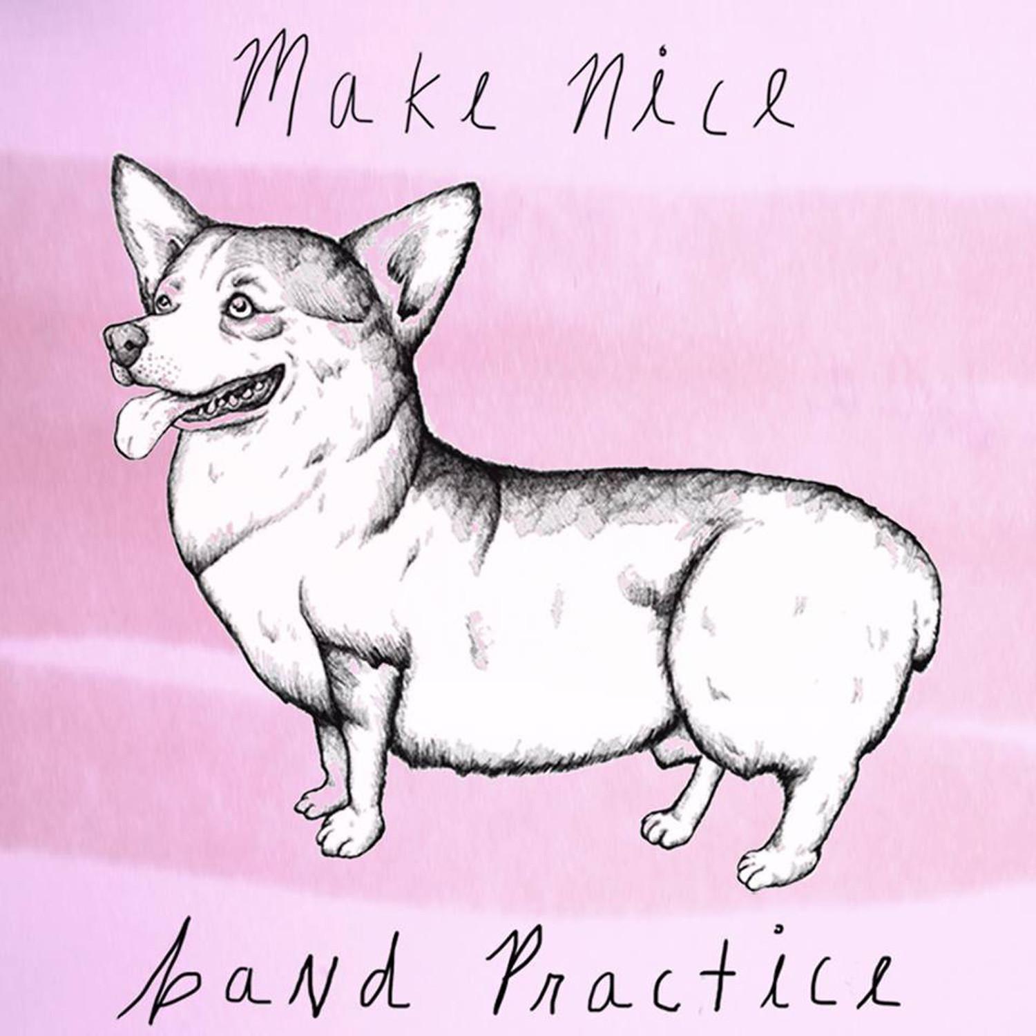 Make Nice