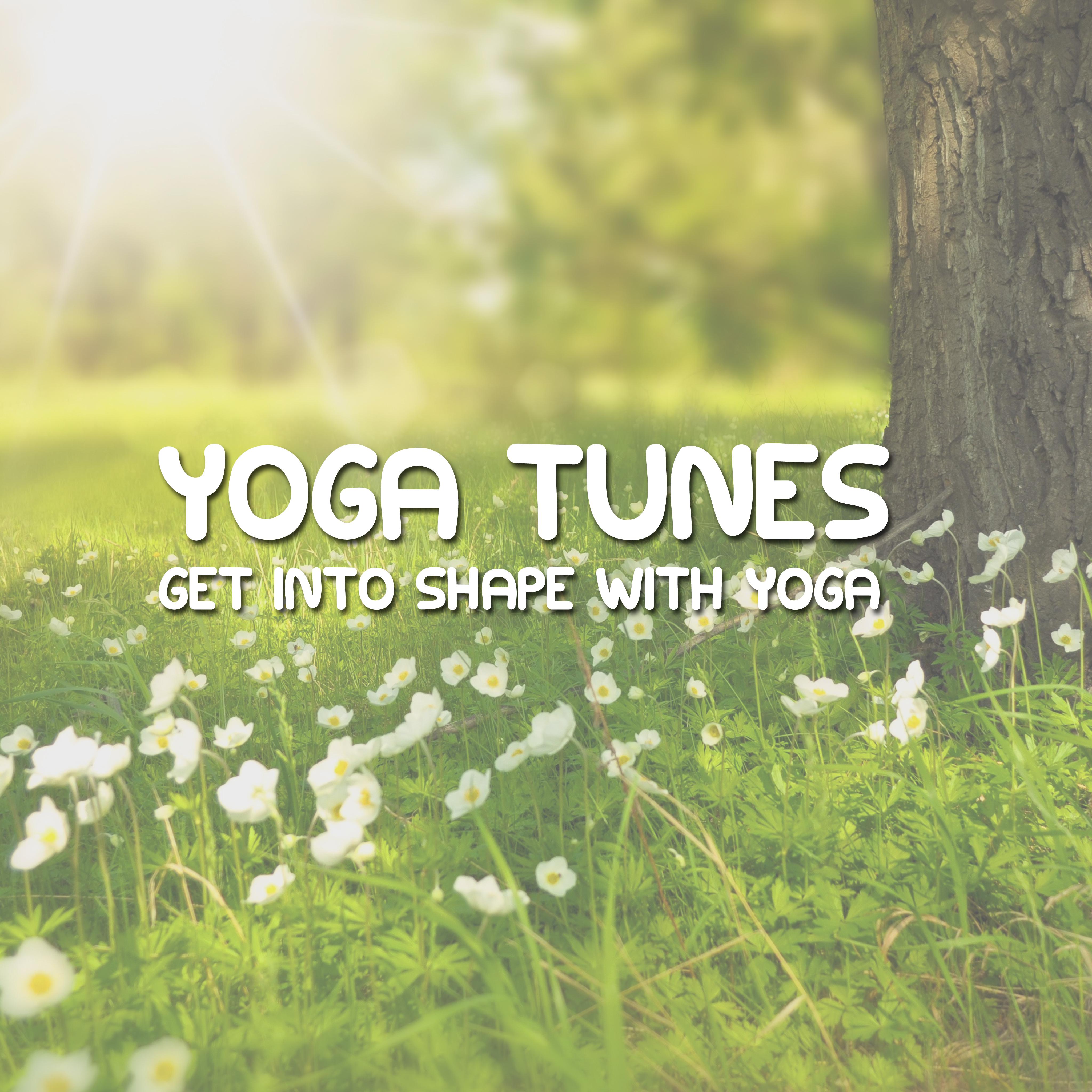 15 Yoga Tunes - Get Into Shape with Yoga