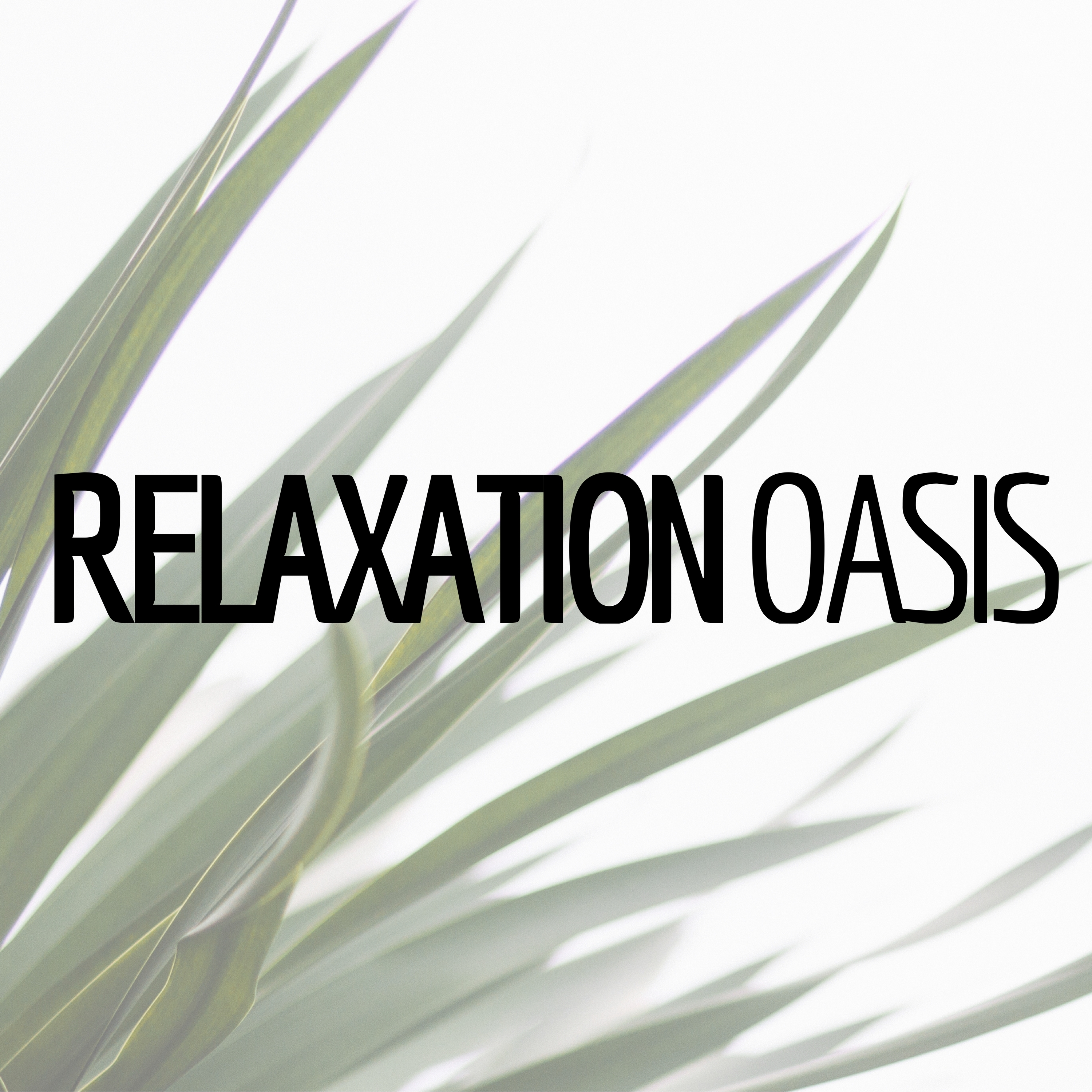 Relaxation Oasis