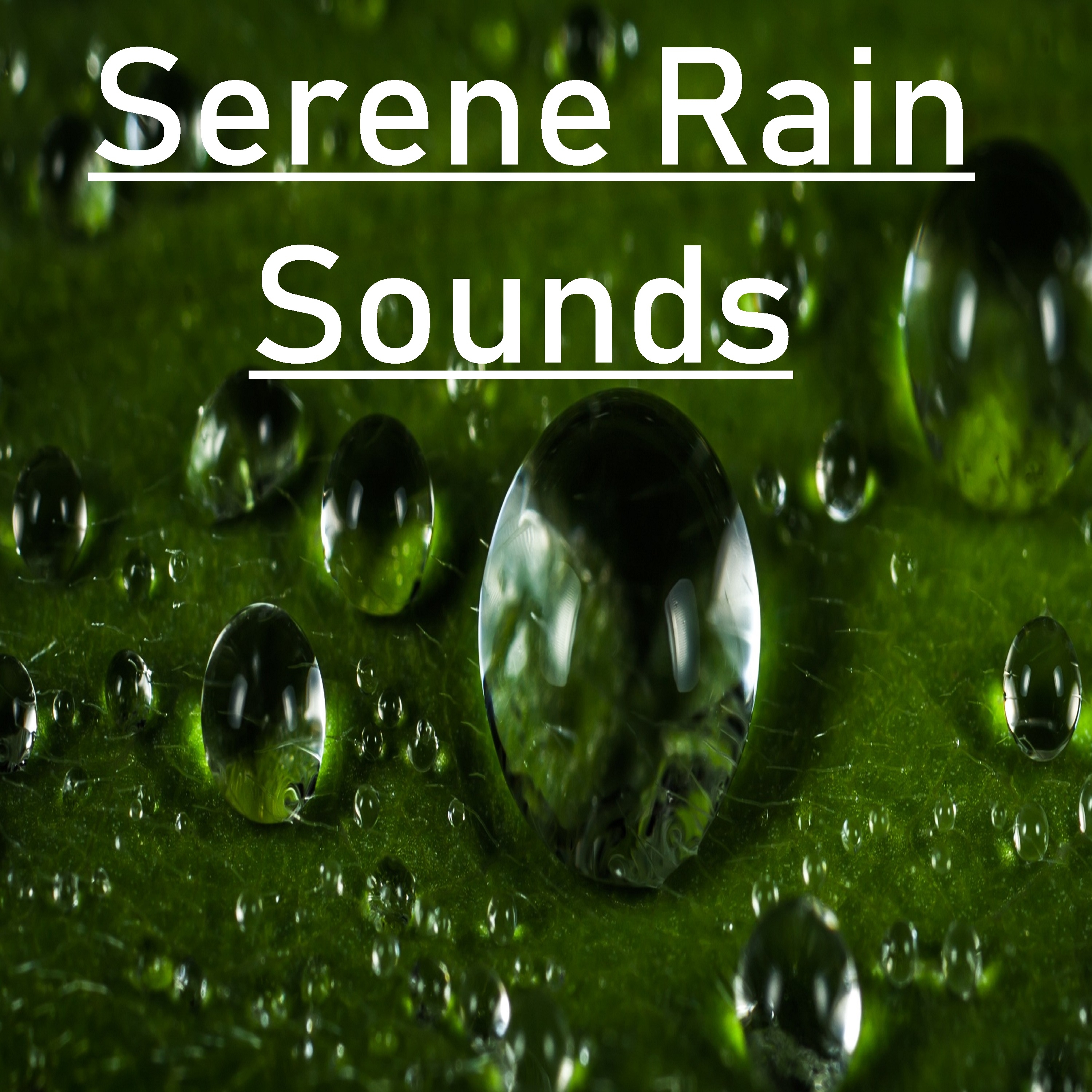 21 Serene Rain Sounds - Peaceful Sleep or Yoga Practice