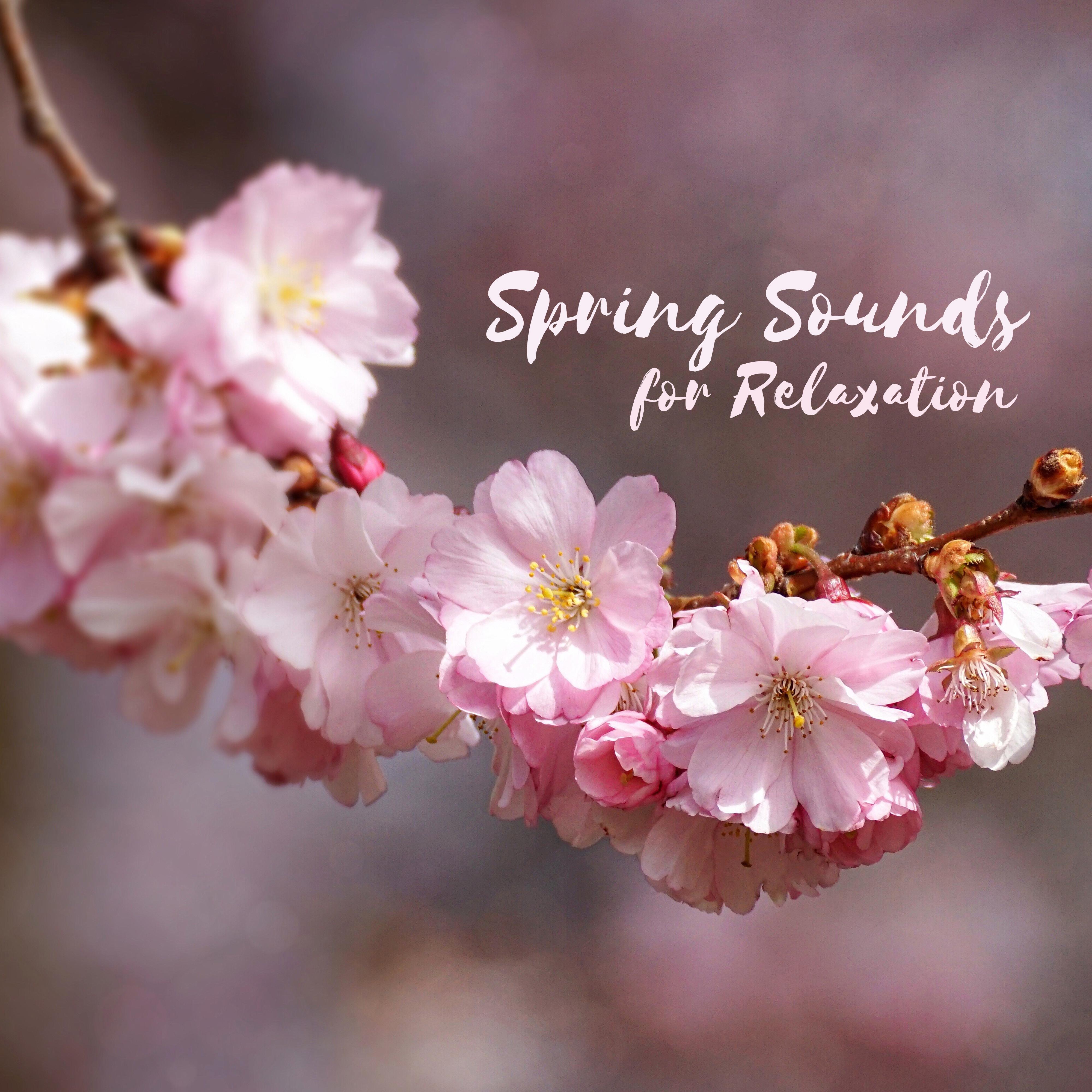 Spring Sounds for Relaxation