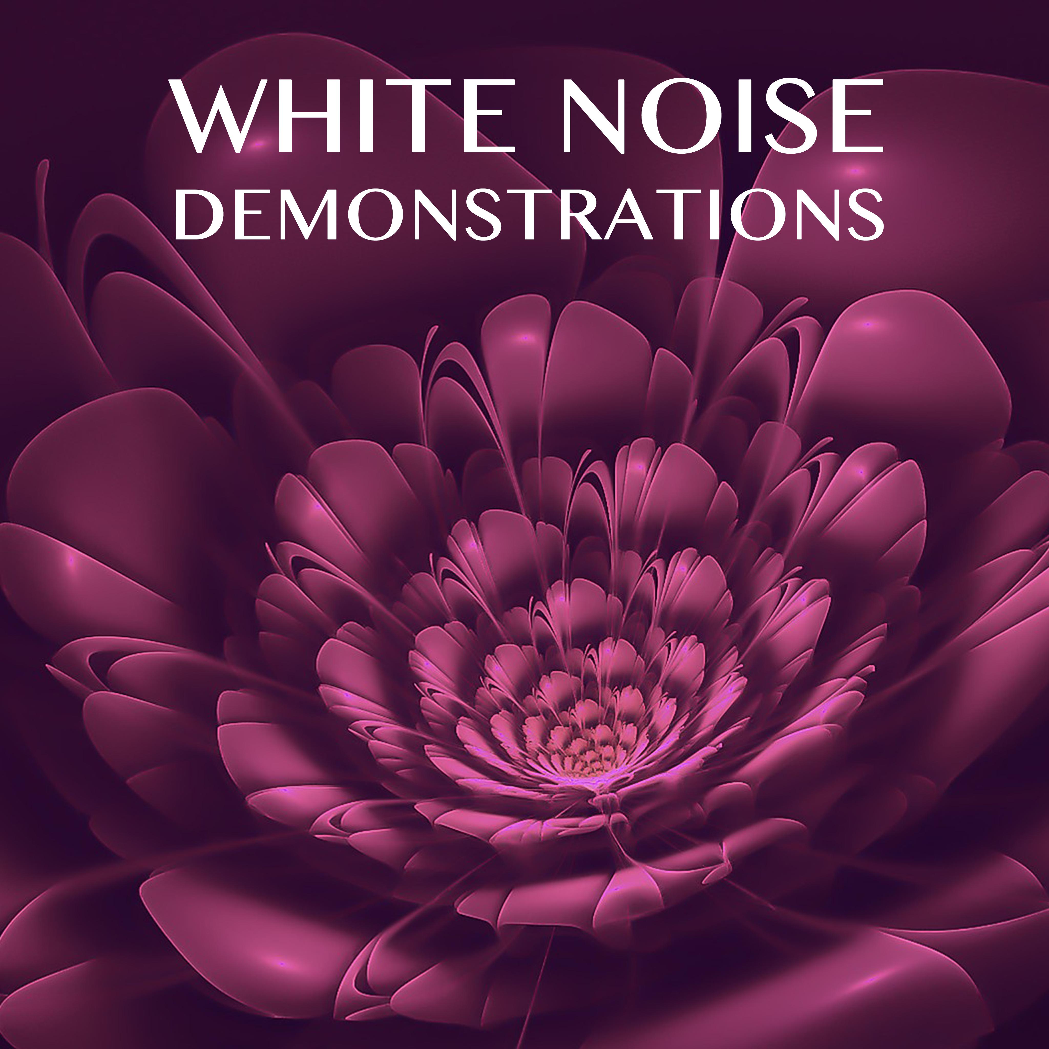 12 White Noise Demonstrations