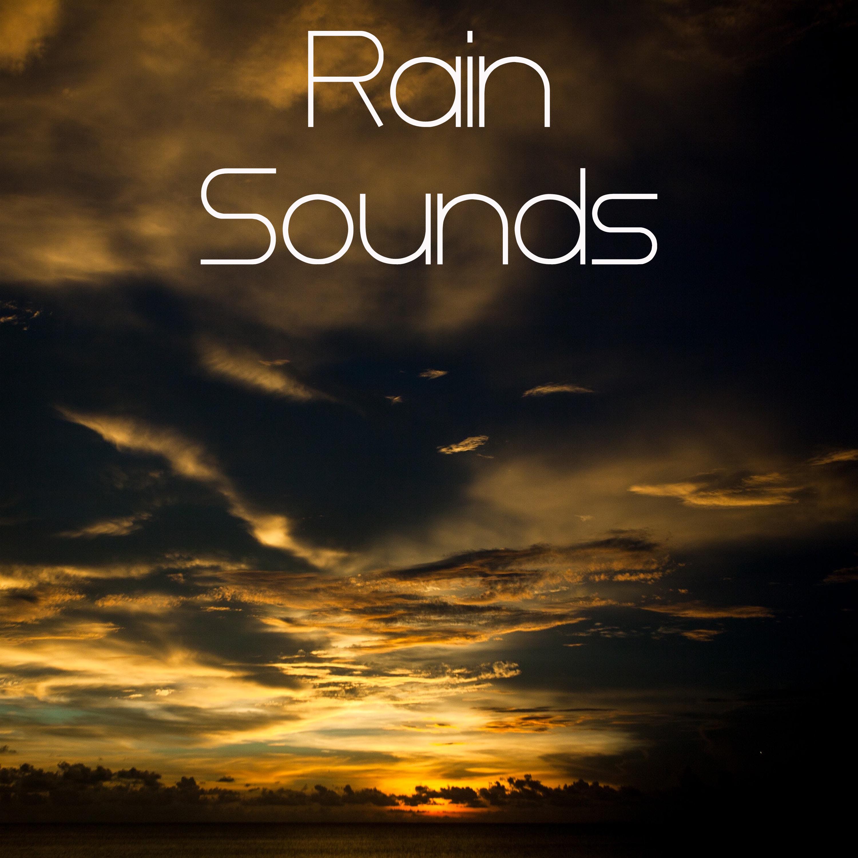 15 of the Best Rain Sounds in the World