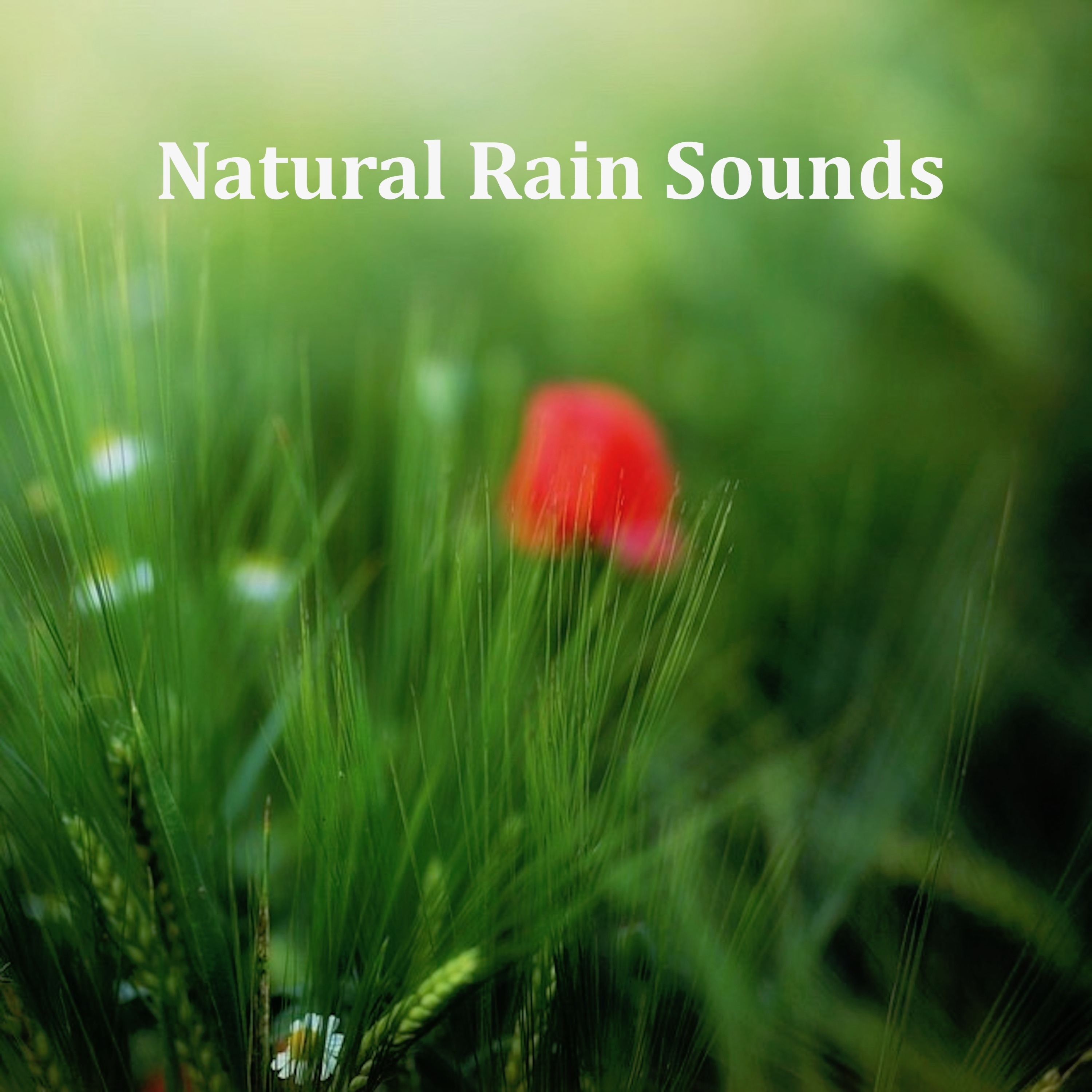 10 Relaxing Nature Spa Sounds, Rain & Nature Music