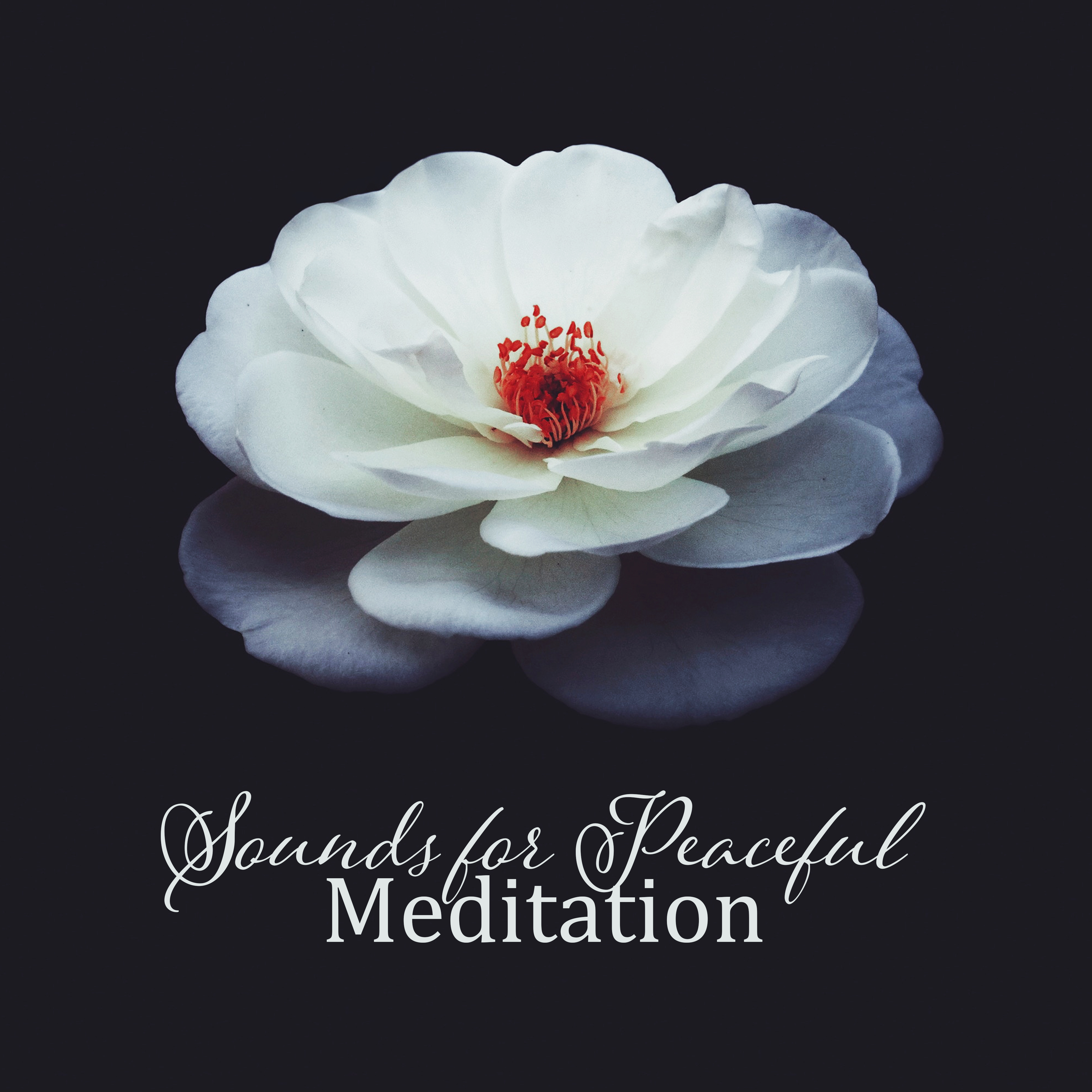 Sounds for Peaceful Meditation