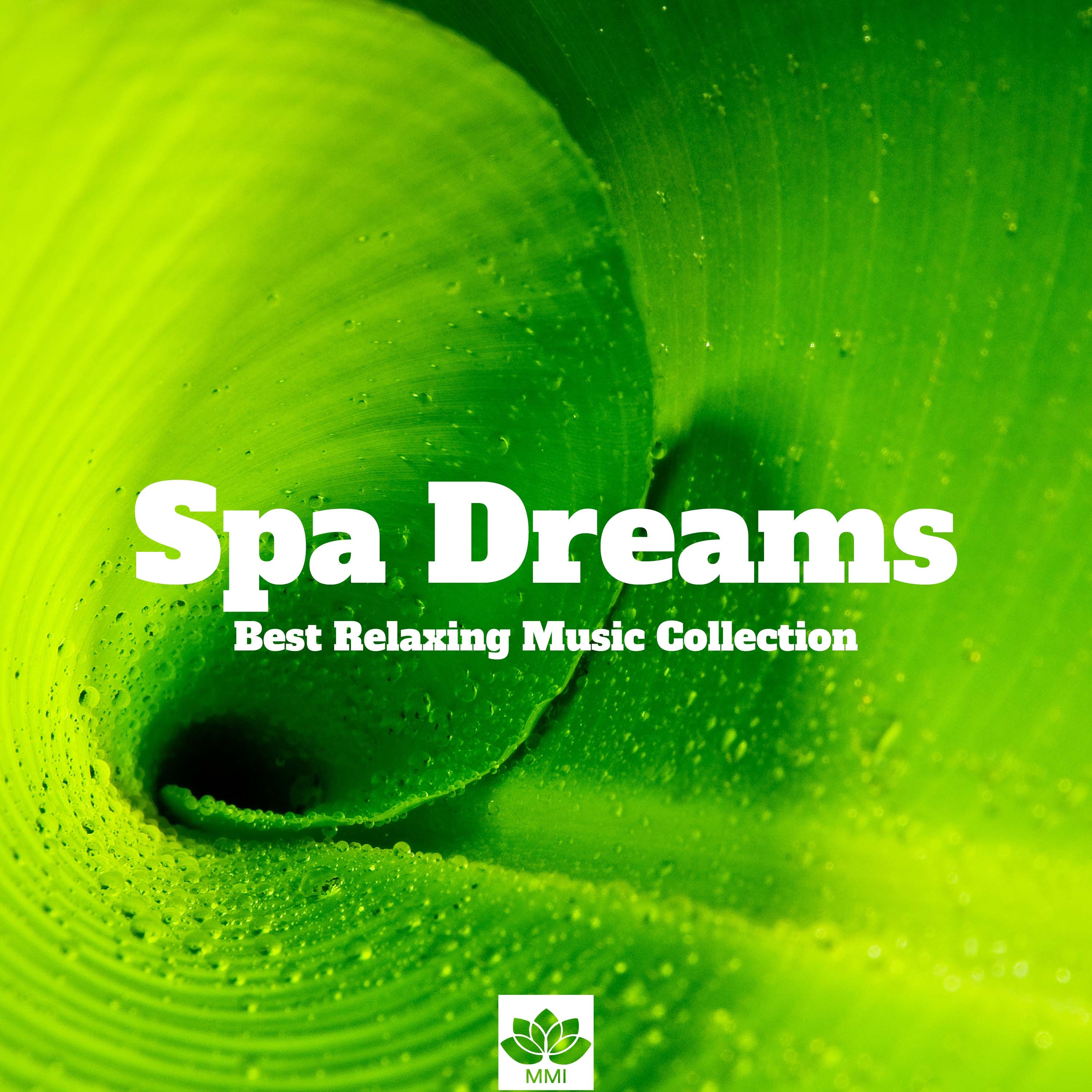 Spa Dreams - Best Relaxing Music Collection