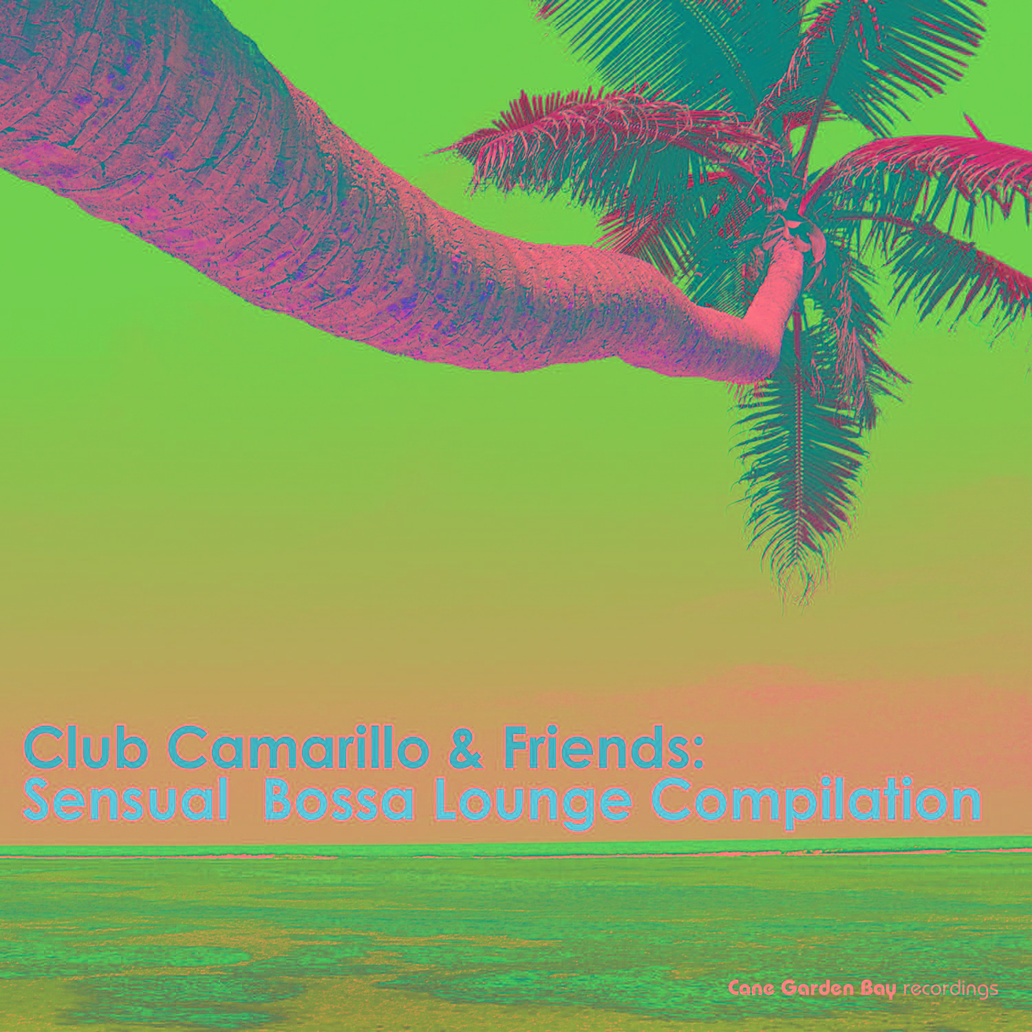 Club Camarillo & Friends: Sensual Bossa Lounge Compilation