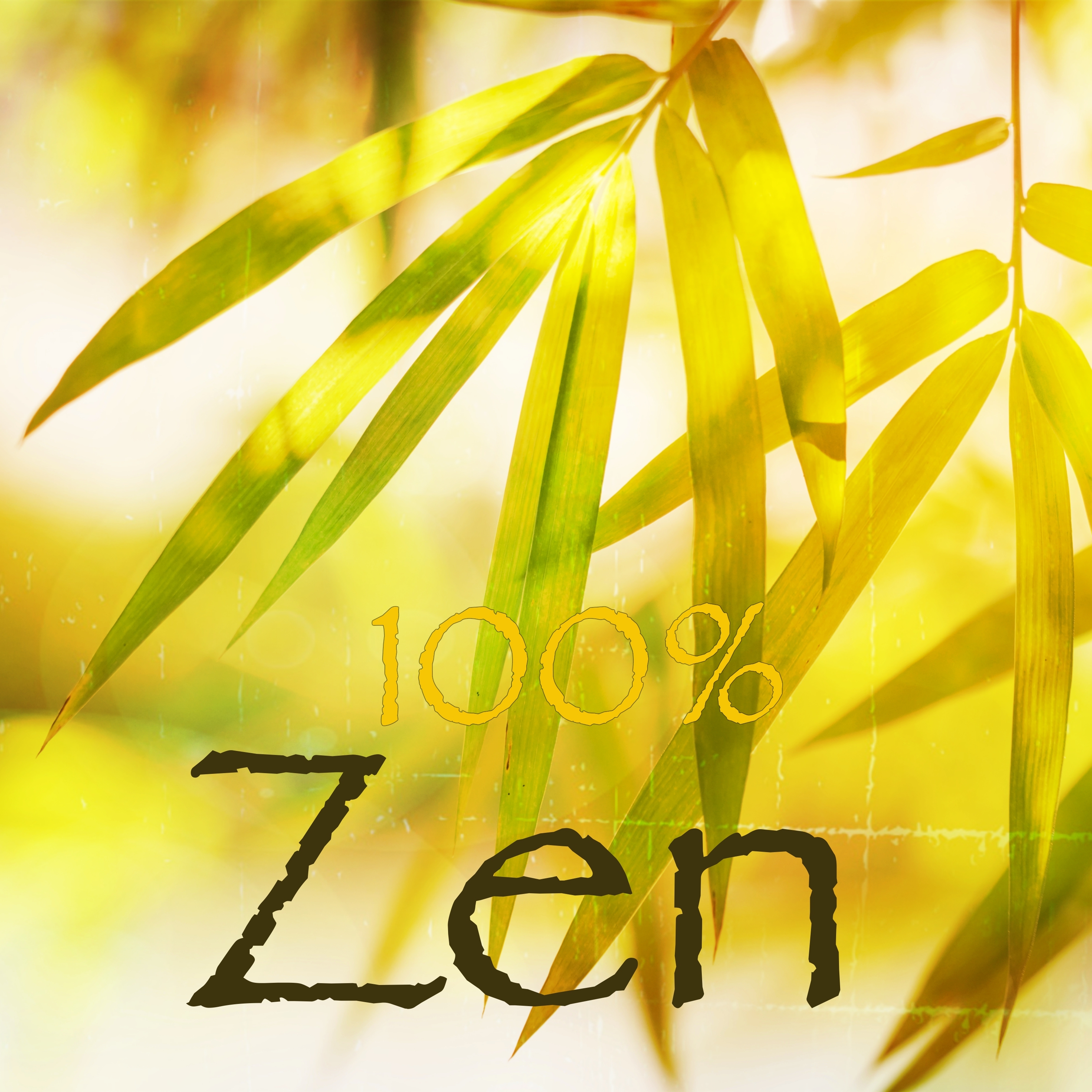 Zen - Sons de la nature et sonorité ancestrale