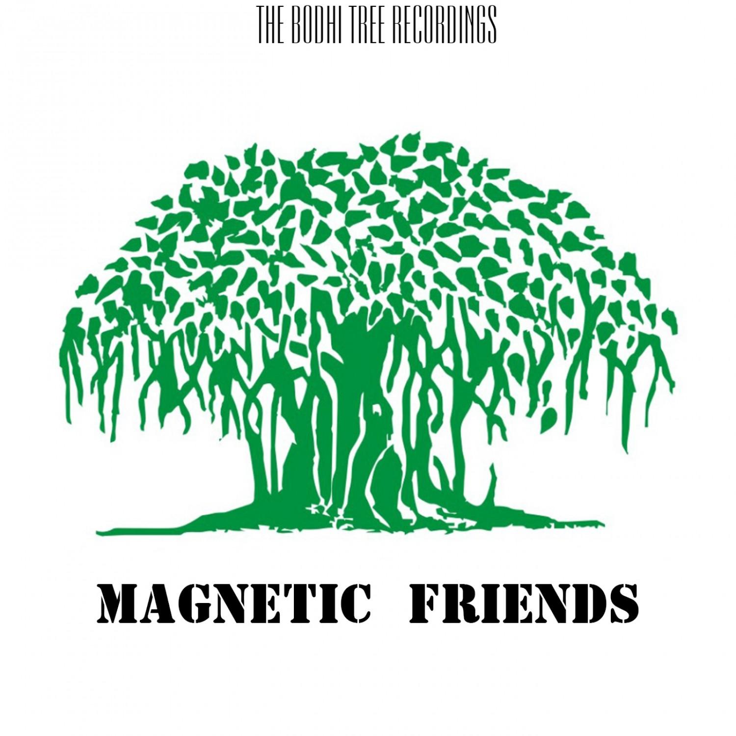 Magnetic Friends