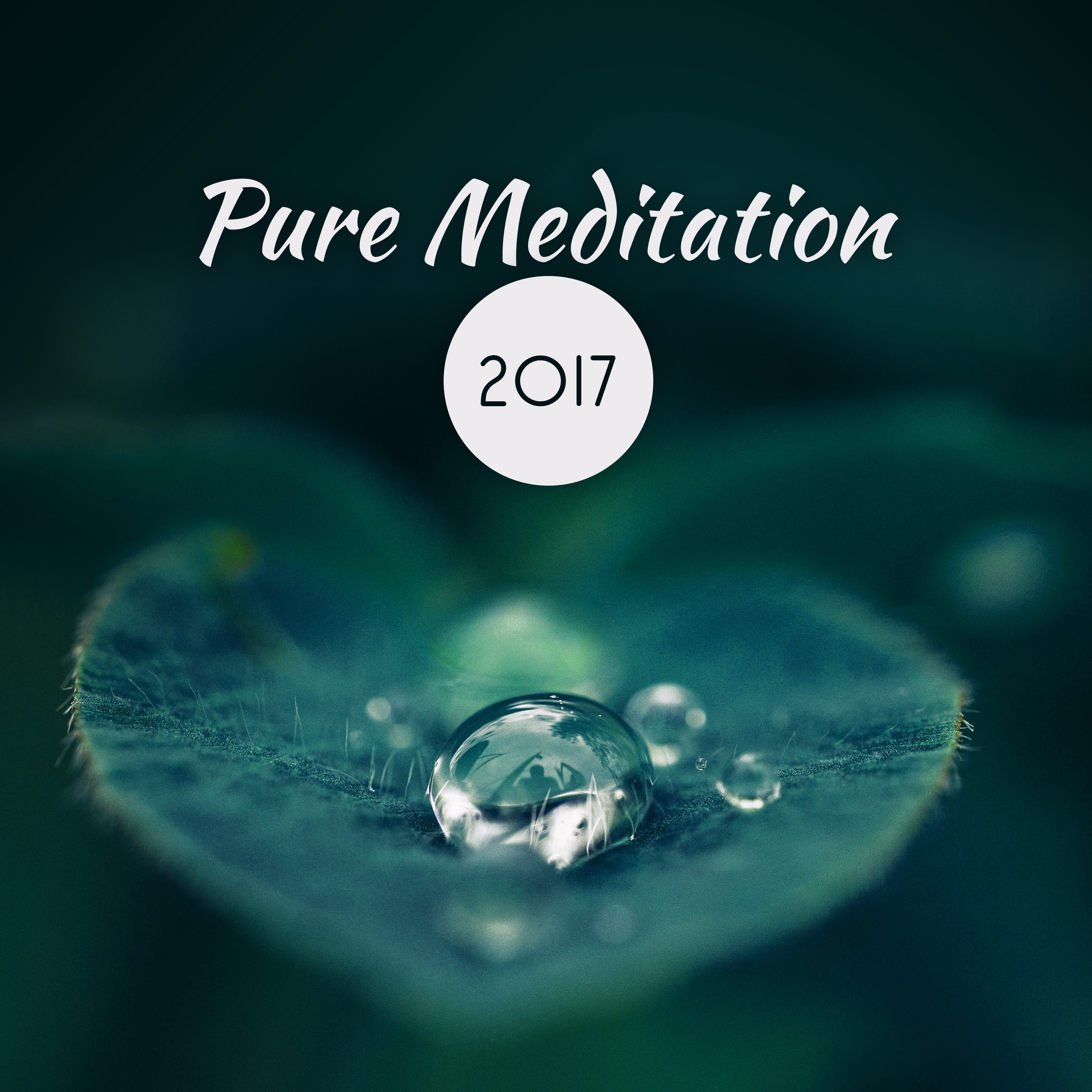 Pure Meditation 2017