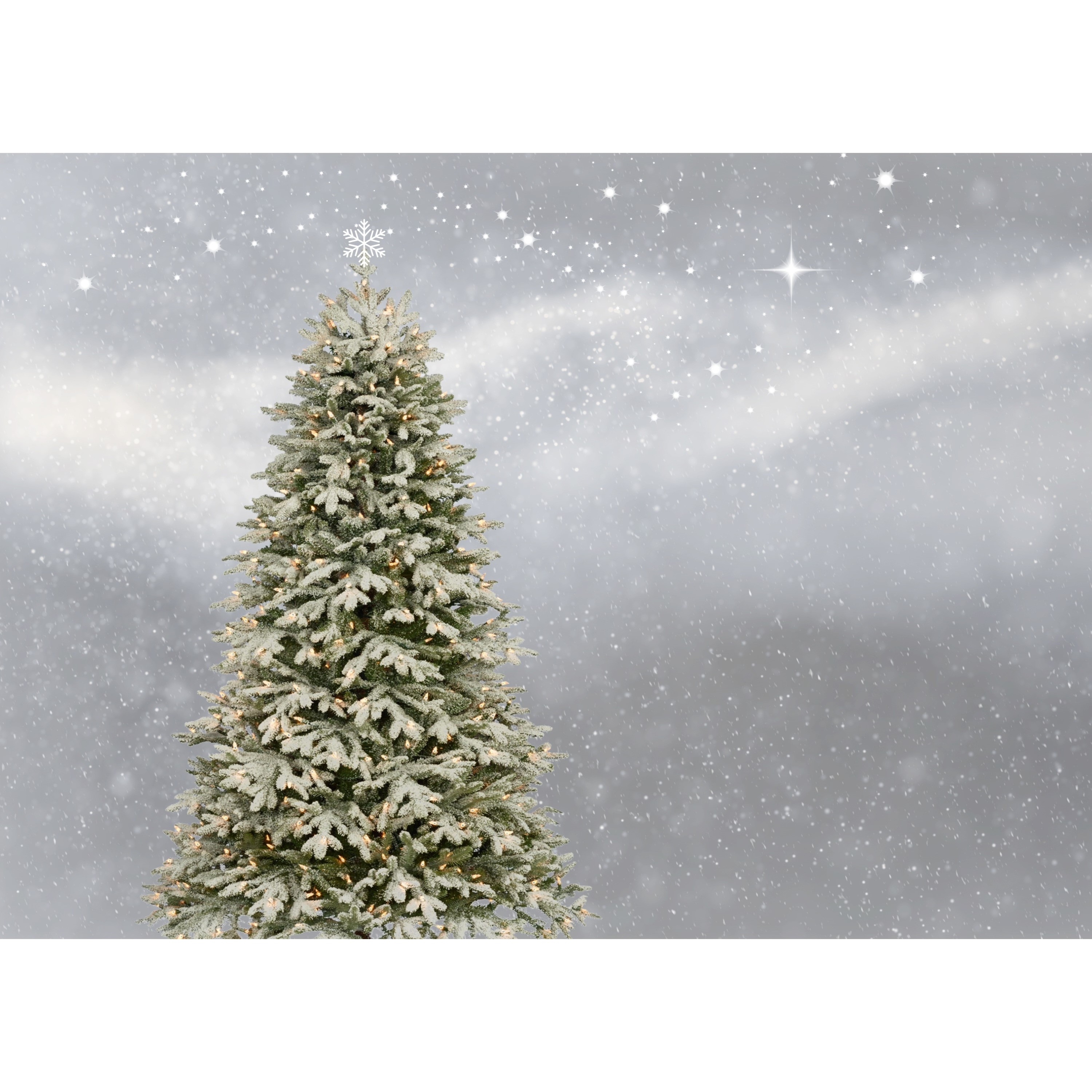 50 Merry & Joyful Christmas Songs