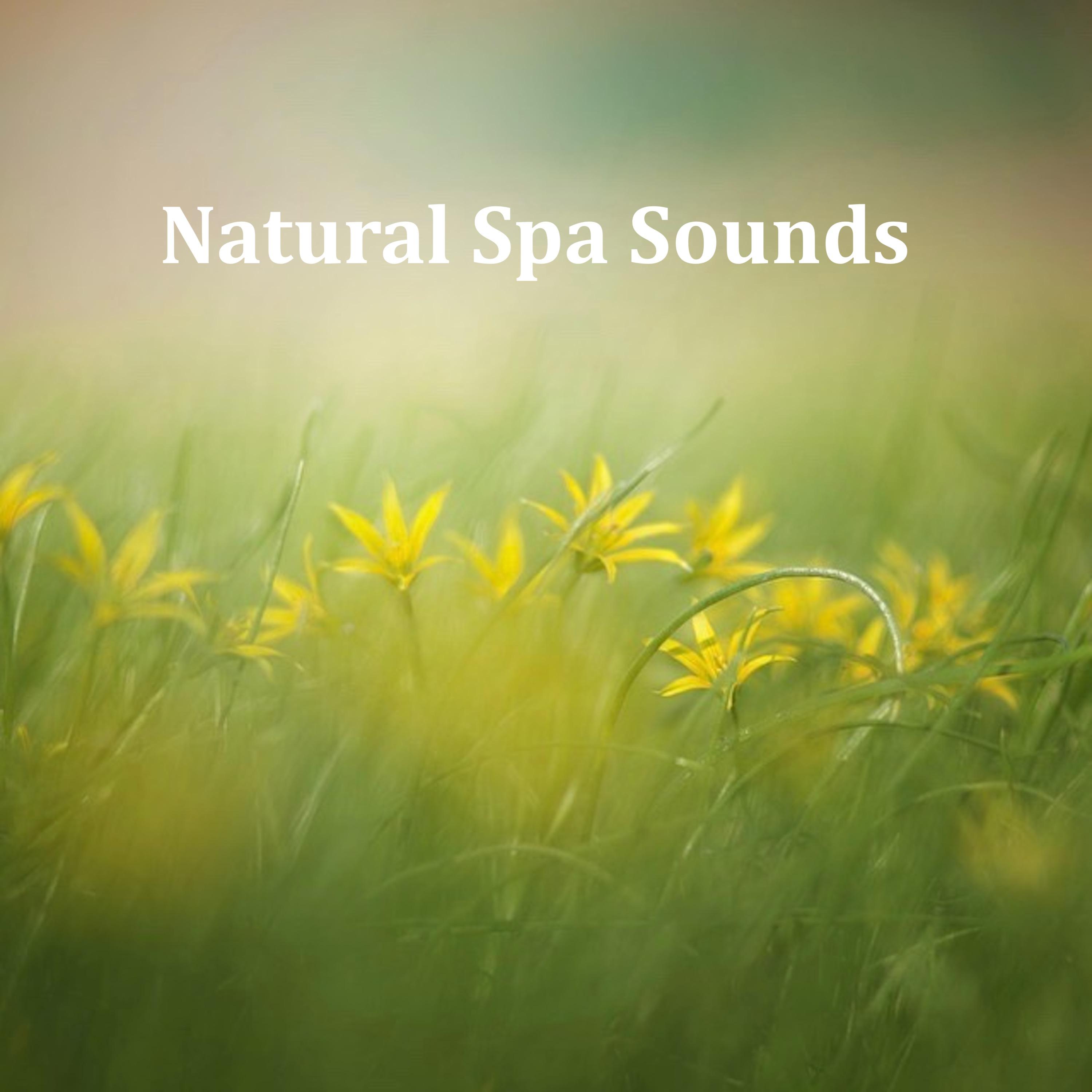 13 Spa and Meditation Sounds: Natural Rain for Relaxation