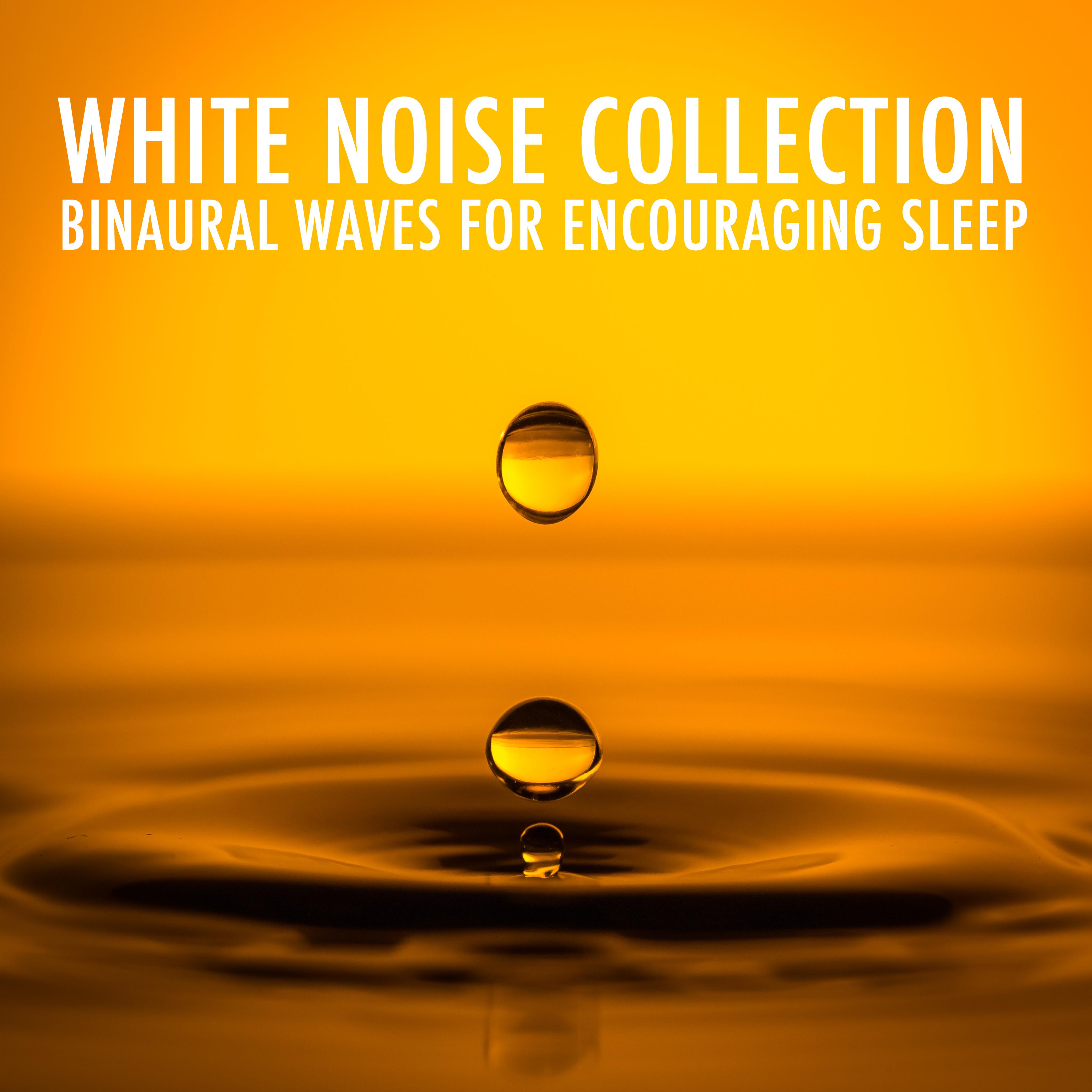 2018 A White Noise Collection: Binaural Waves for Encouraging Sleep